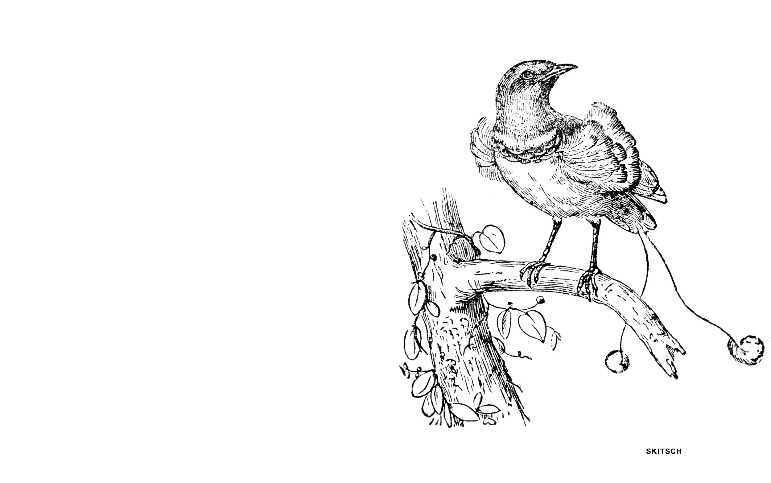 Blog Post Title Three