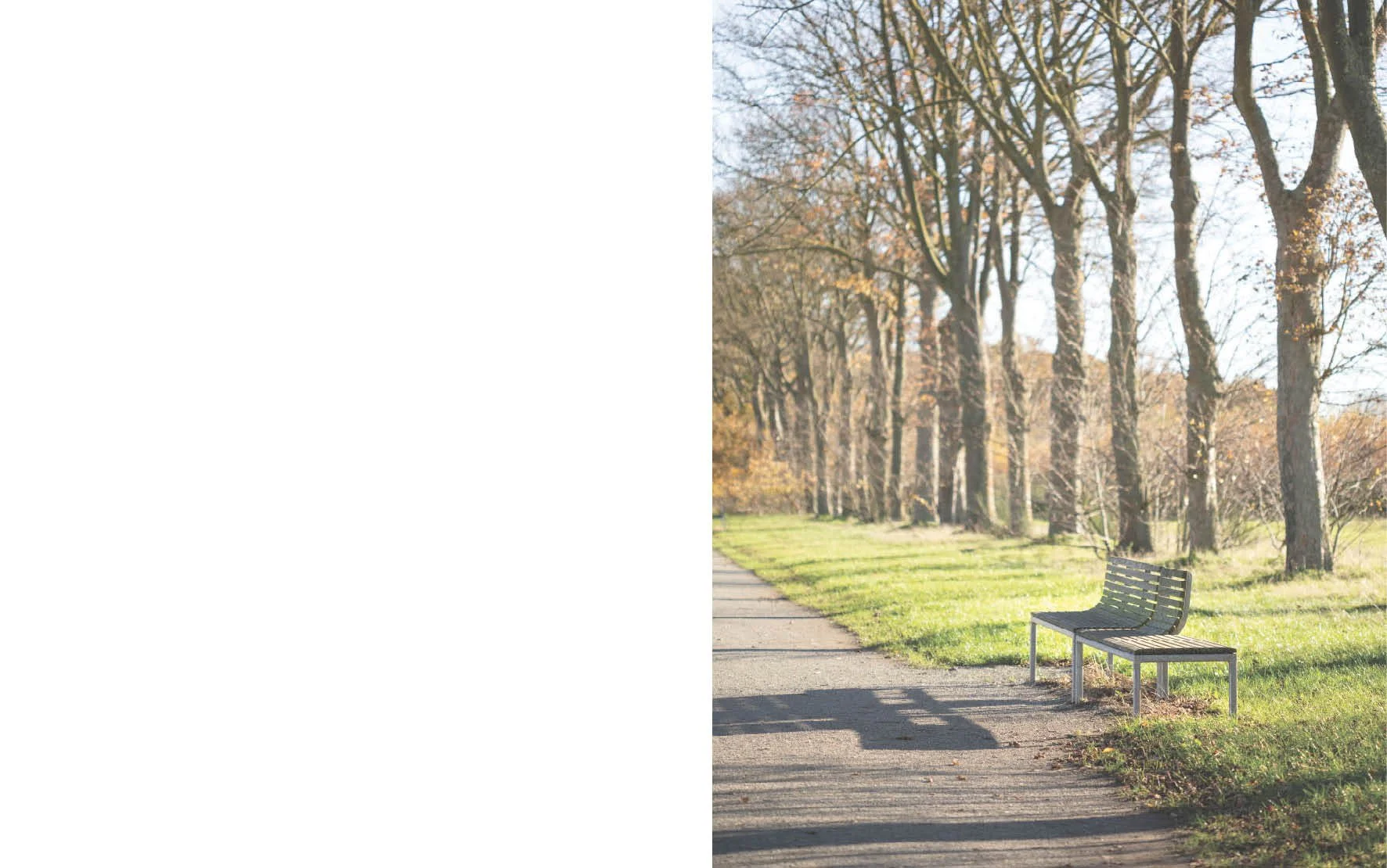 1_parkbos.jpg