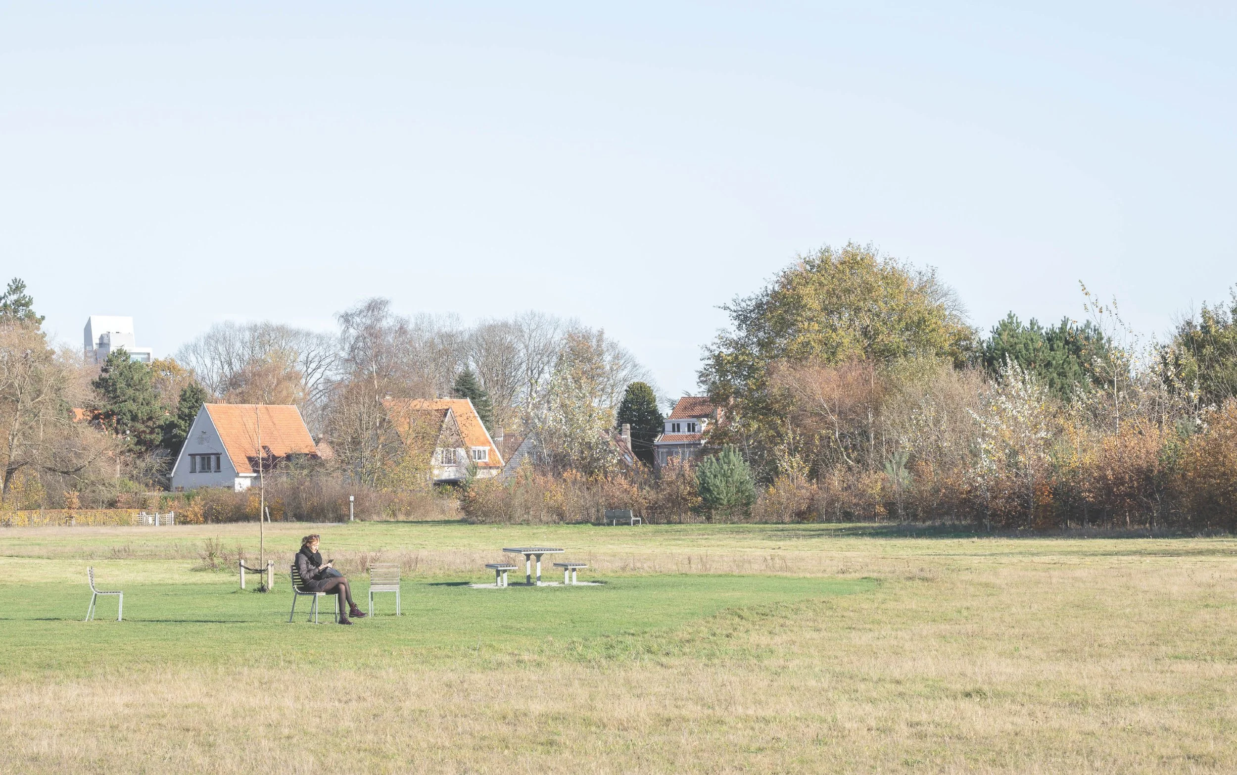 5_parkbos.jpg