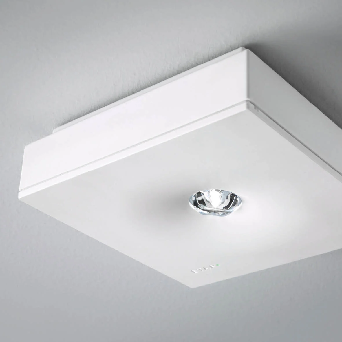 etap_K1_100x100.jpg