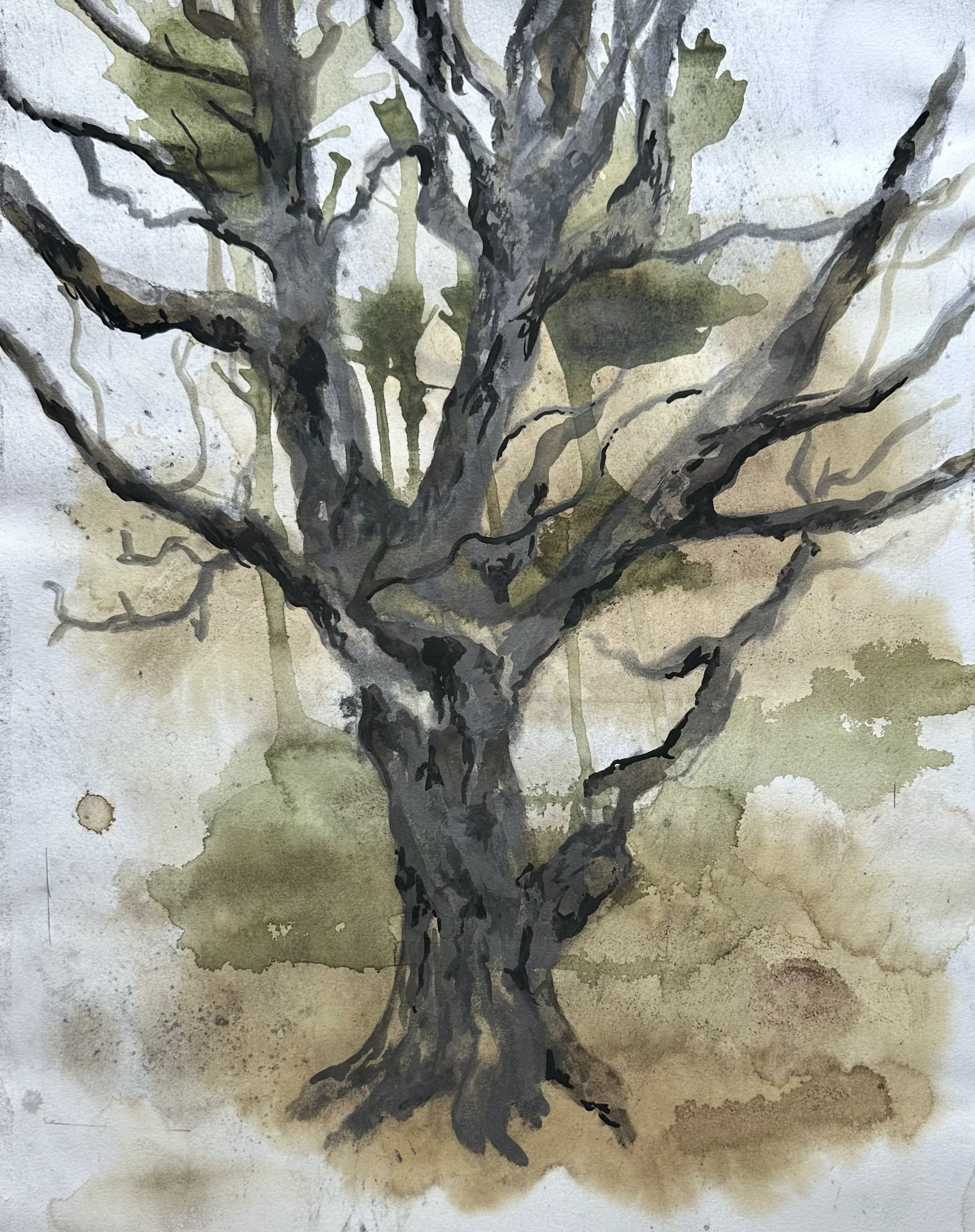 Abstract Oak Landscape