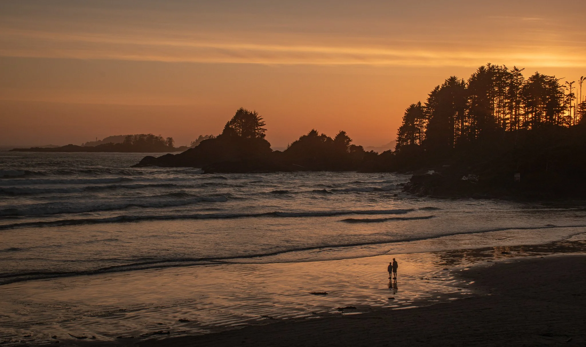 Tofino