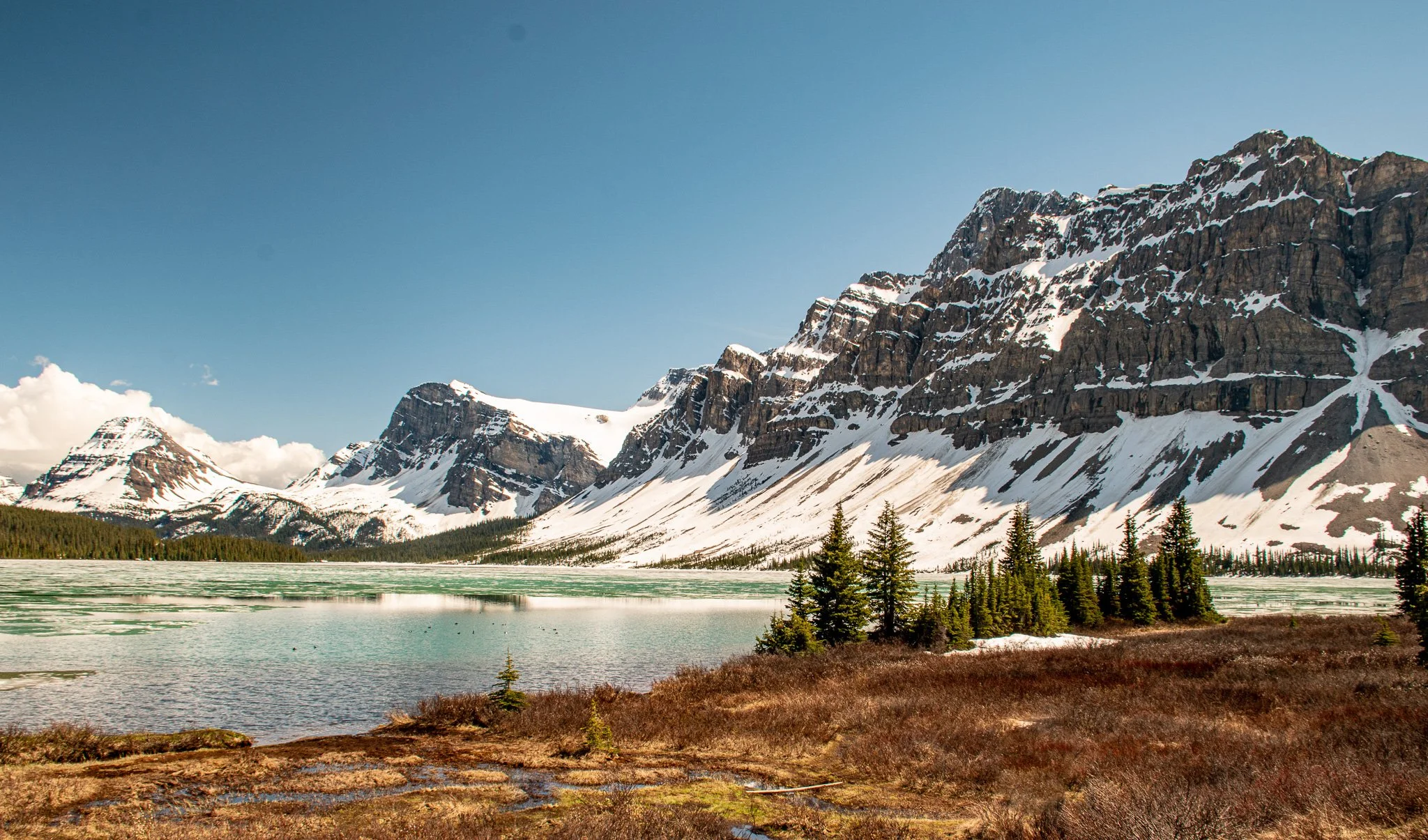 Bow lake 002