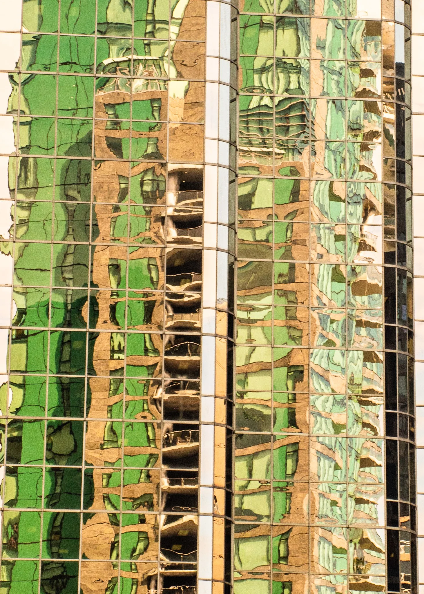 Vancouver Reflections 002