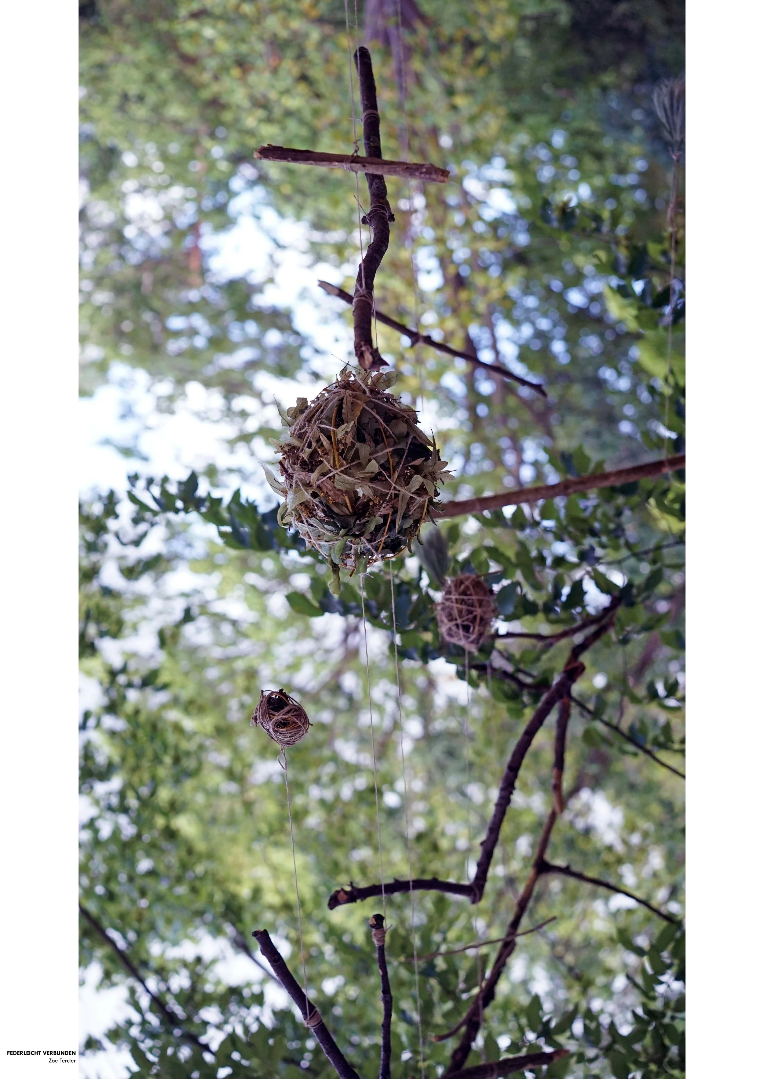 Federleicht verbunden © Zoe Tercier