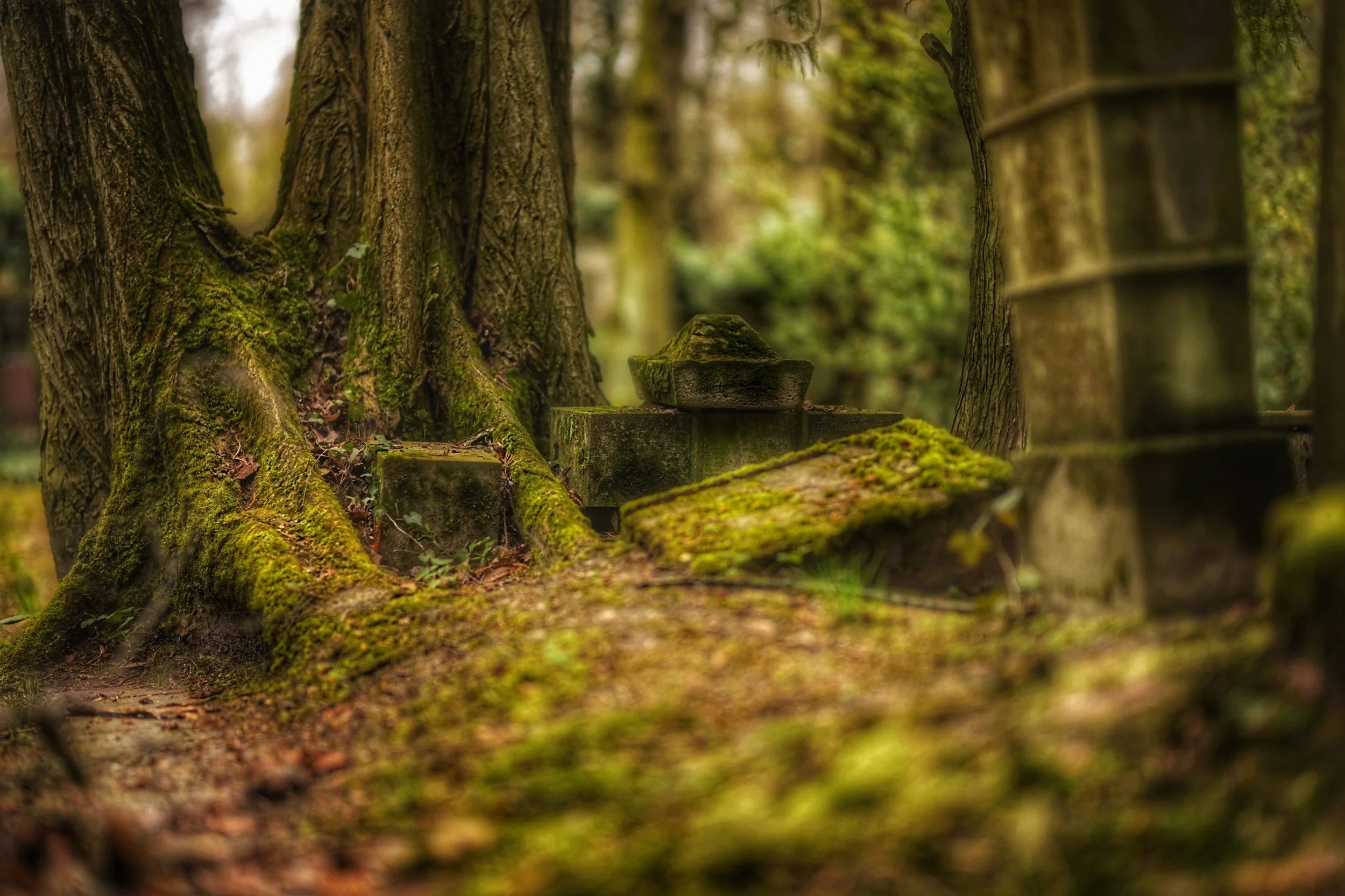 Ruhe sanft © Ronald von Brandenstein