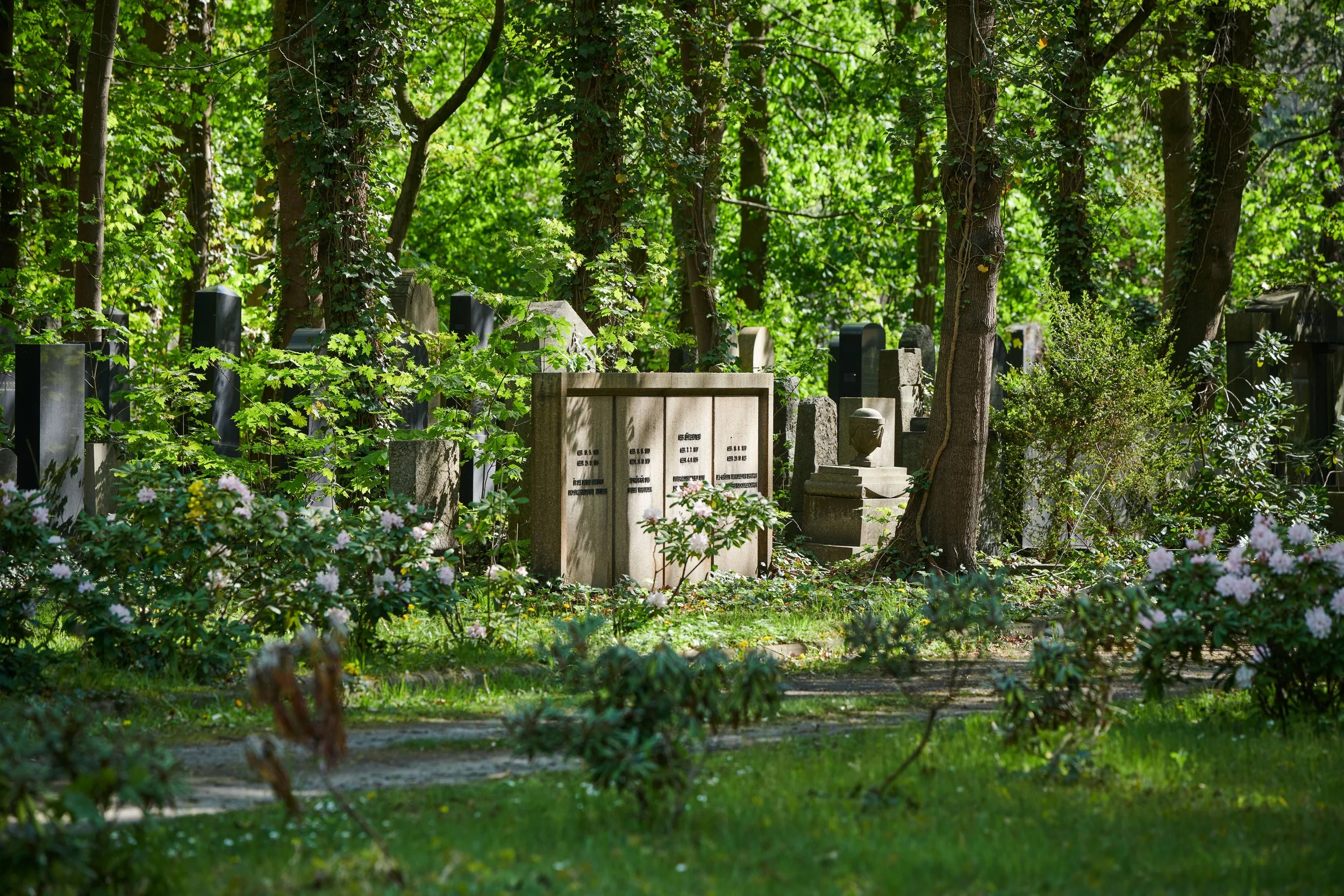 Wie wünschen sich Berliner:innen Friedhof?