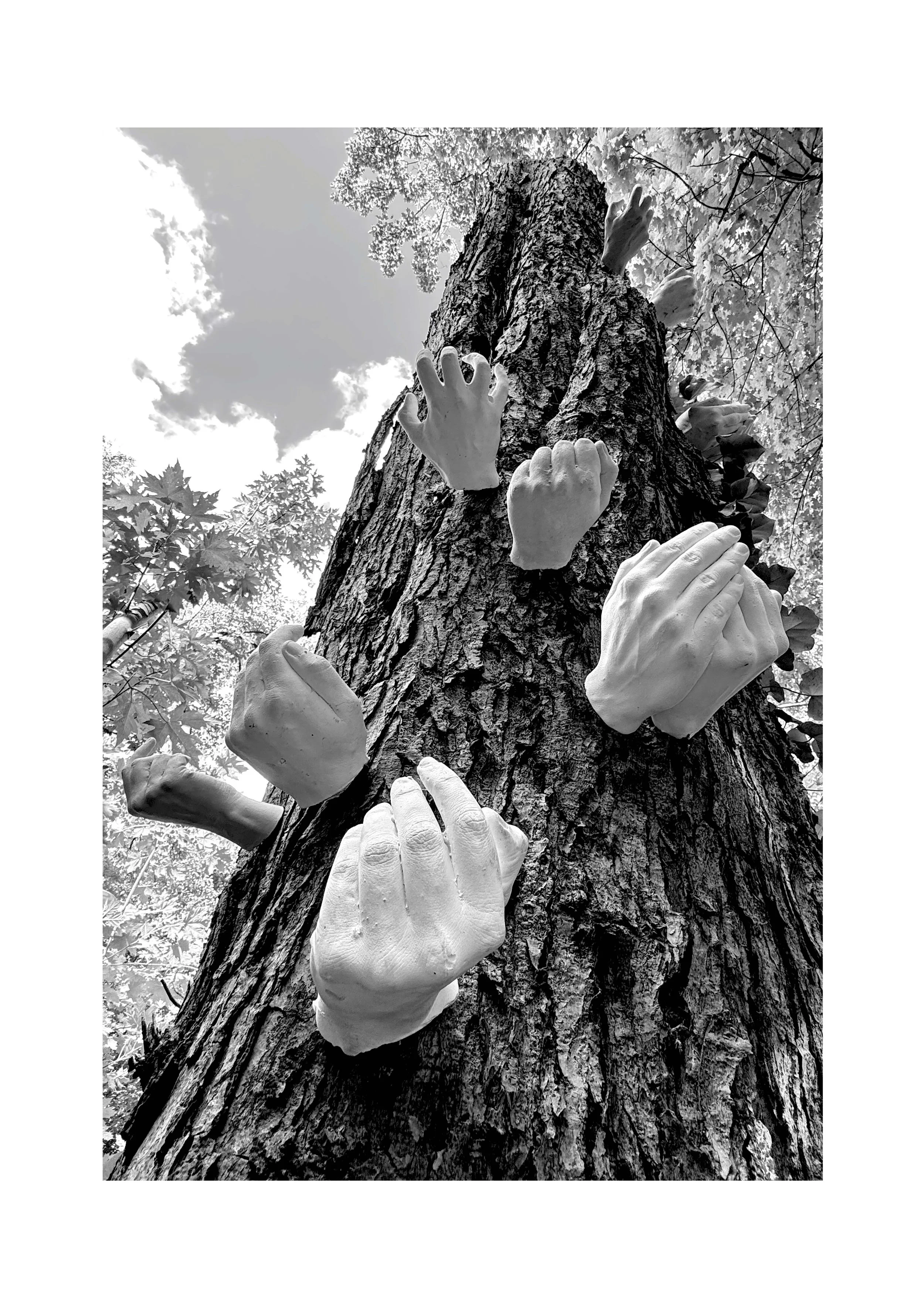 Verwurzelt im Geben © Lea Pfeiffer