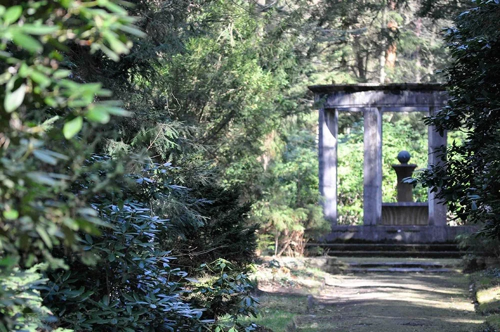 Führung über den Landschaftsfriedhof in Berlin - Brandenburg