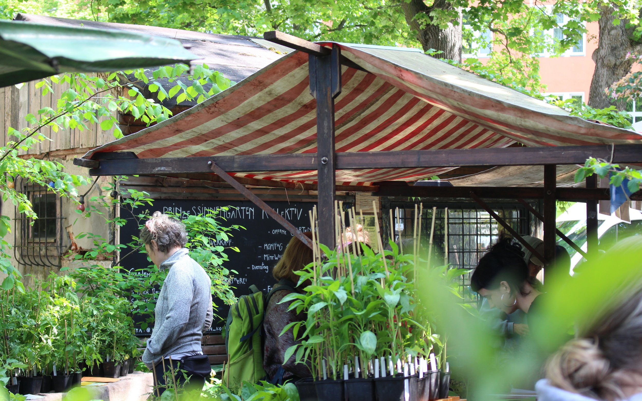 Jungpflanzenmarkt 2026