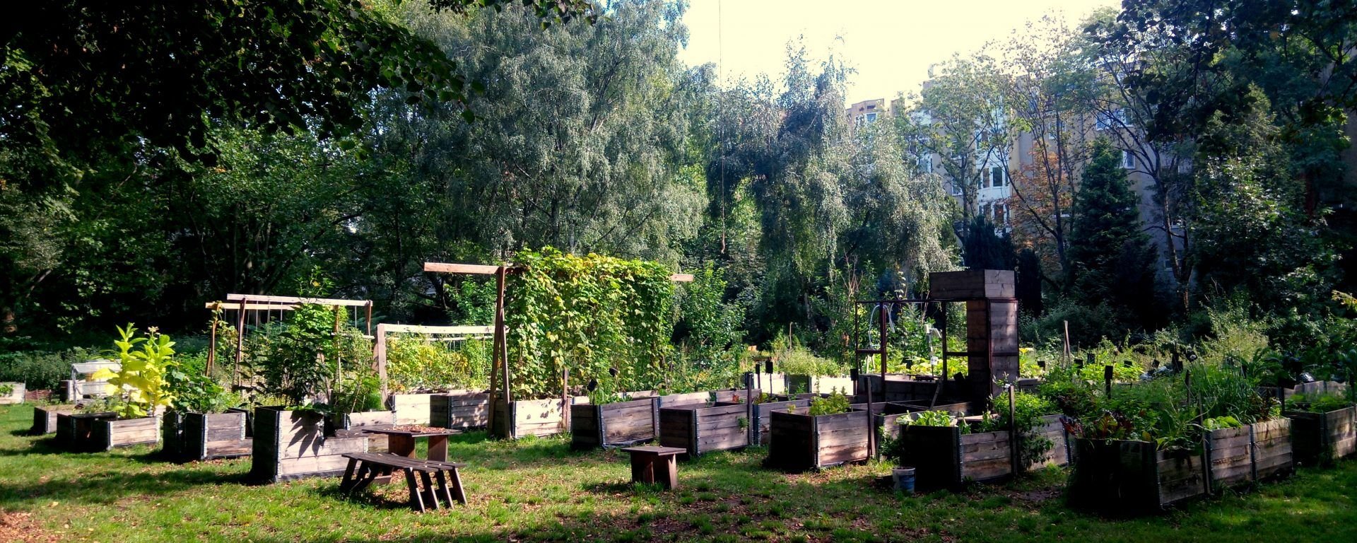 Offener Gartenarbeitstag: Gärtnern auf der Hochbeetwiese