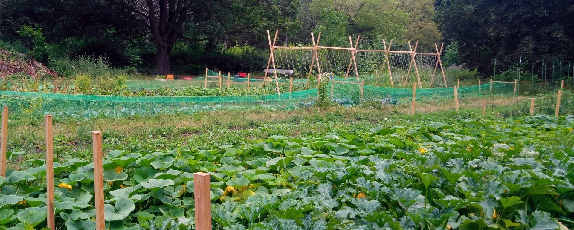 Offener Gartenarbeitstag: Gärtnern auf dem Acker