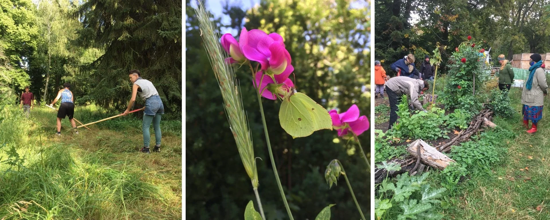 Offener Gartenarbeitstag: AG Biodiversität