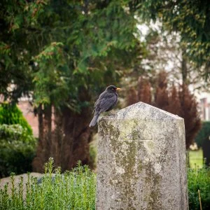 Führung über den Friedhof Jerusalem und Neue Kirche IV