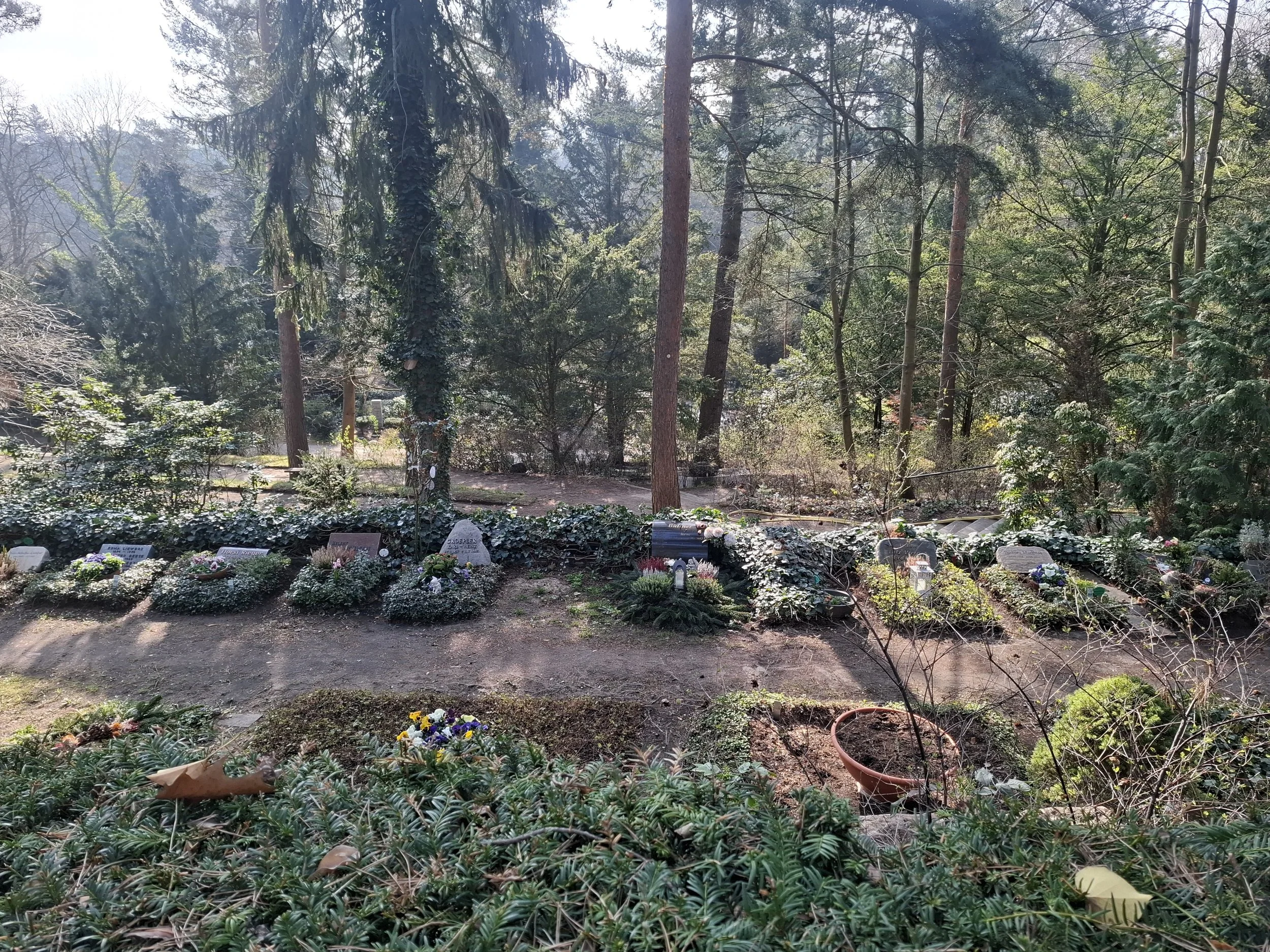 Führung über den Waldfriedhof Heerstraße