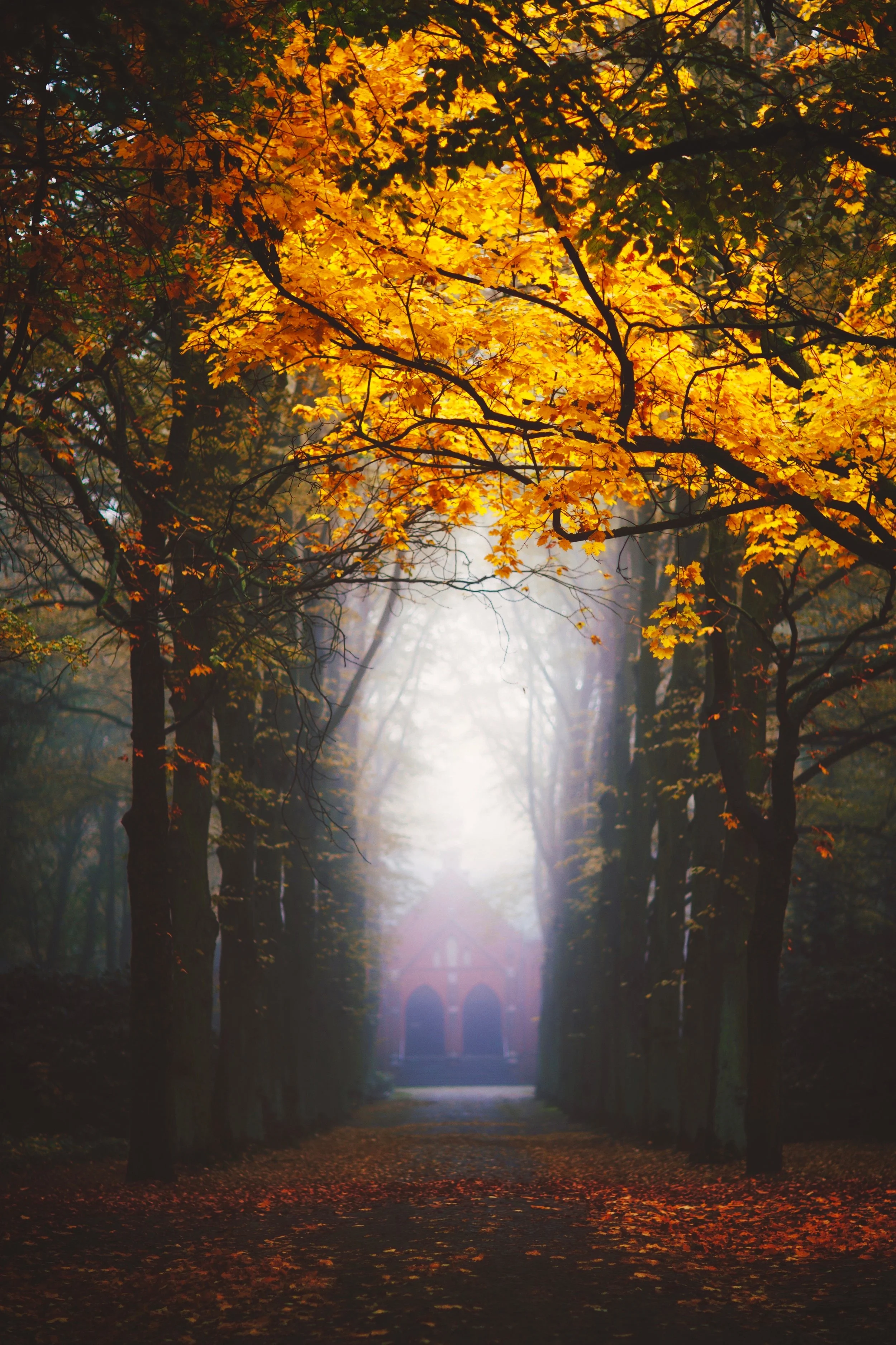 Stiller Gang © Olaf Meyer