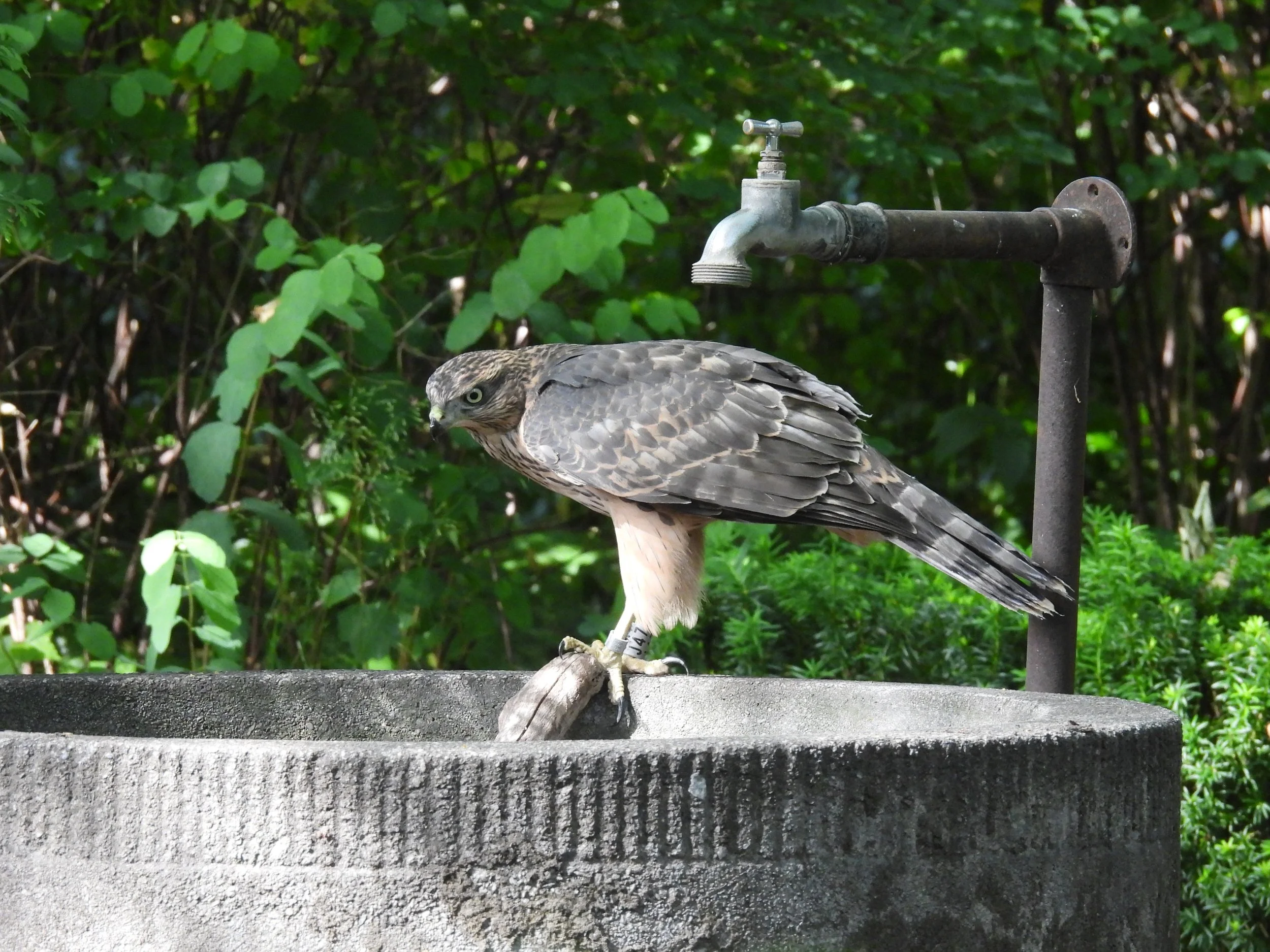 ... eine Begegnungsstätte der besonderen Art © Christine Stohn