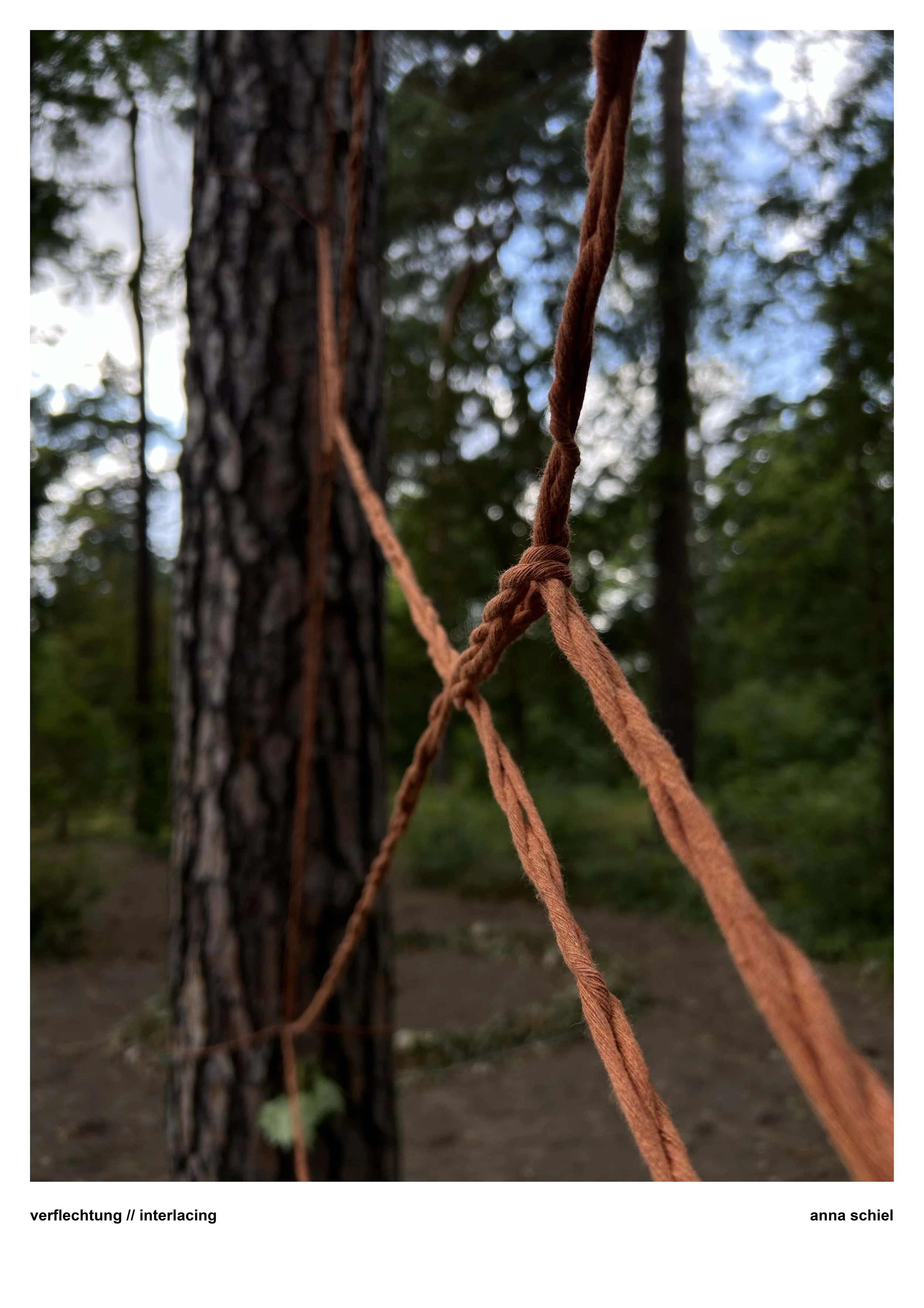  verflechtung // interlacing © anna schiel