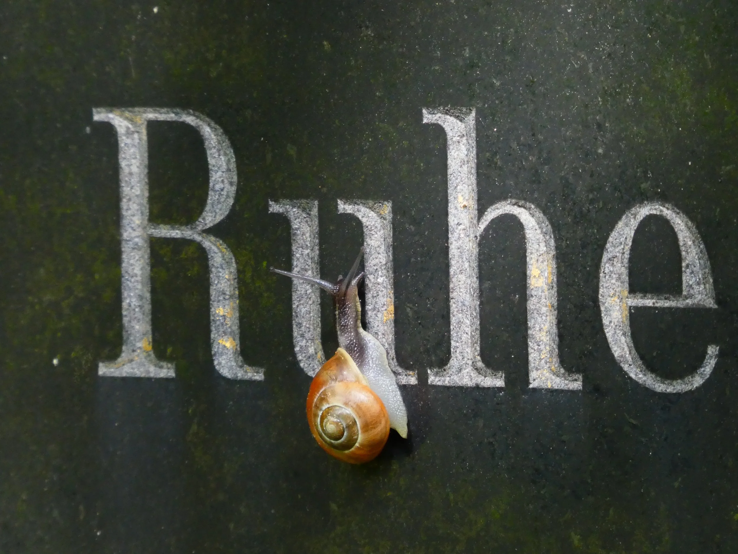 In der Ruhe liegt die Kraft © Marianne Riem-Wischhöfer