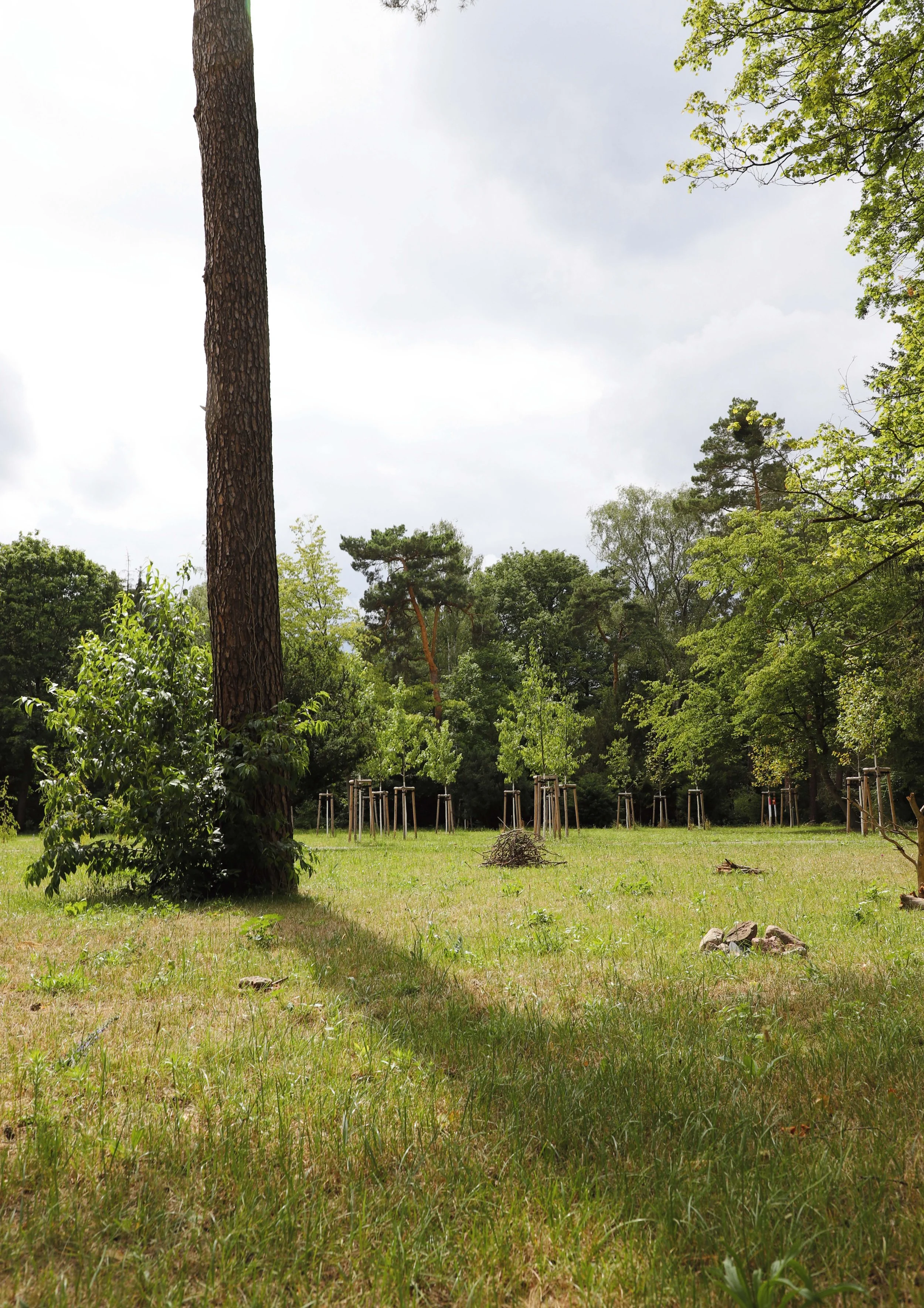 © Charlotte Loebner