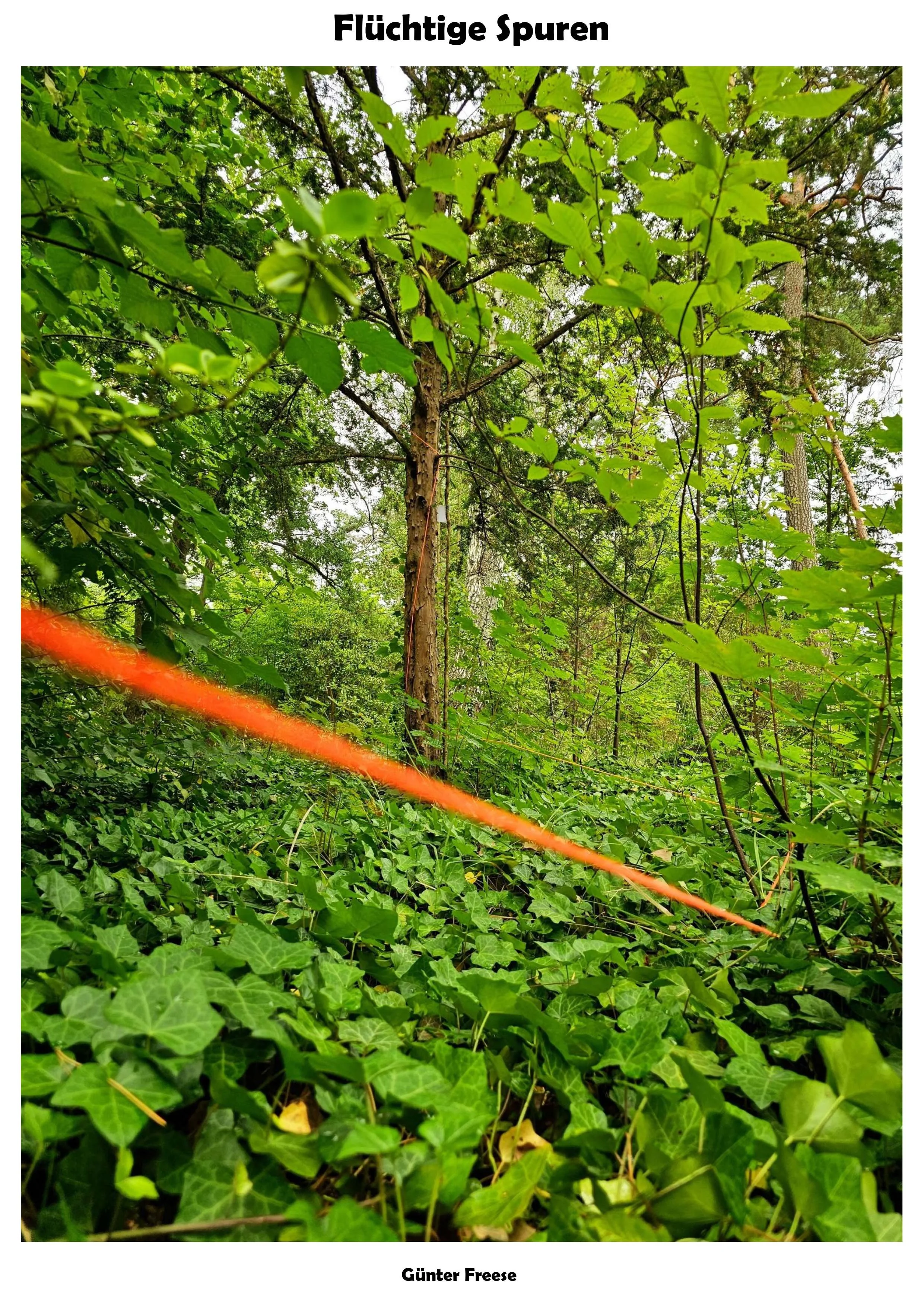 Flüchtige Spuren © Günter Freese