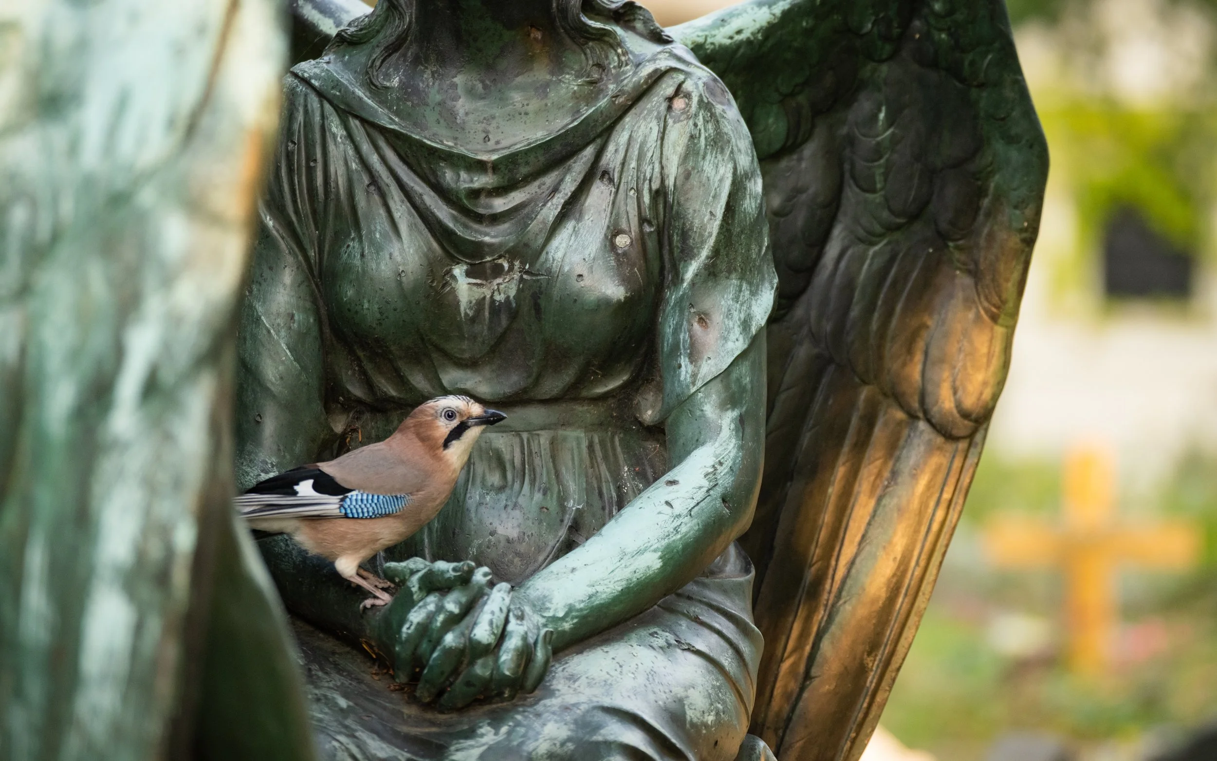 ... ein Ort zum Beobachten der Berliner Artenvielfalt
© Sebastian Ziebell