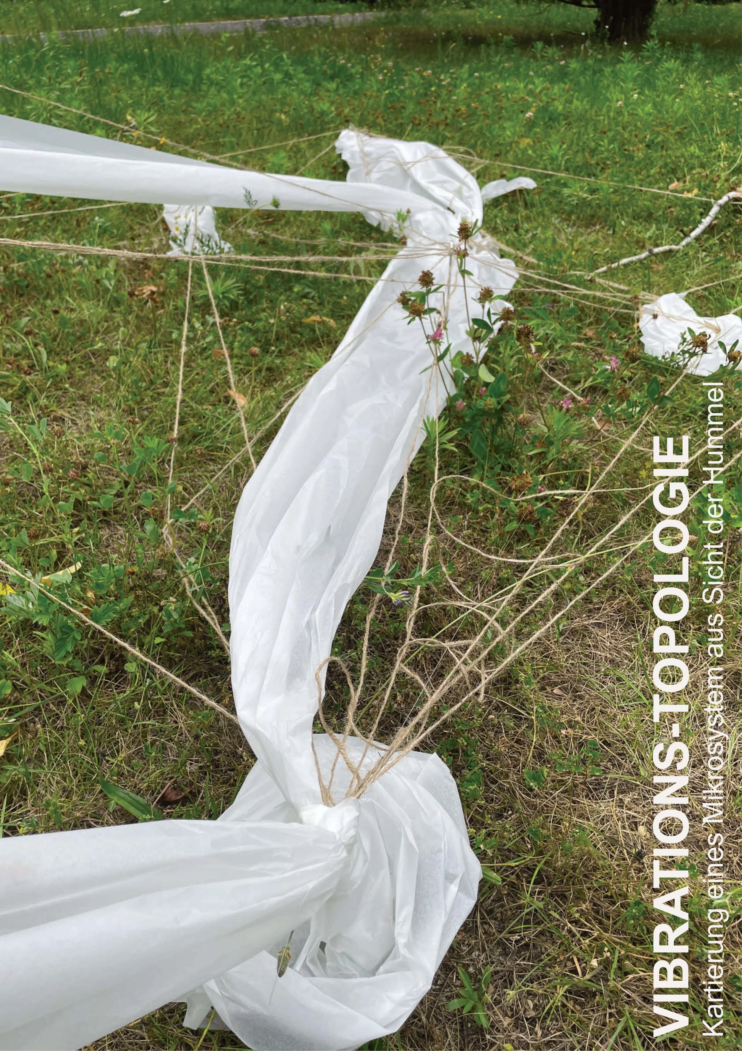 Vibrations-Topologie © Johanna Brix