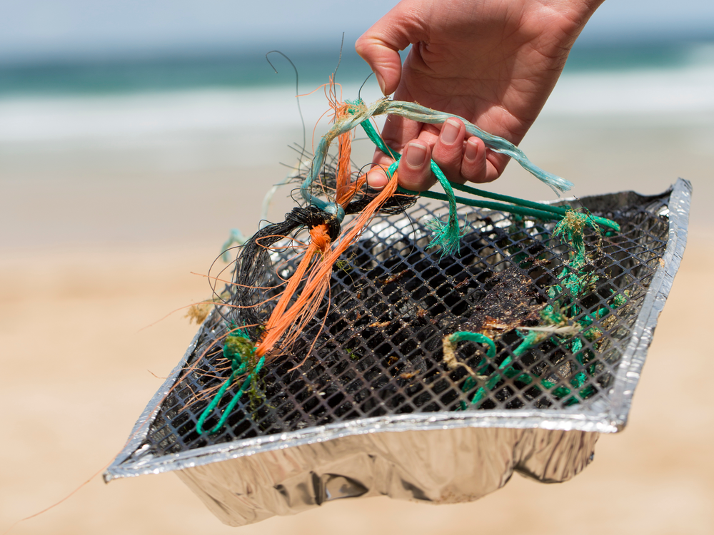 Activities — West Wittering Beach