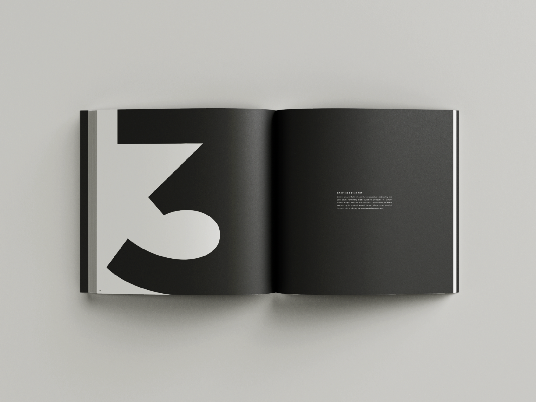 CEO Coffee Table Book