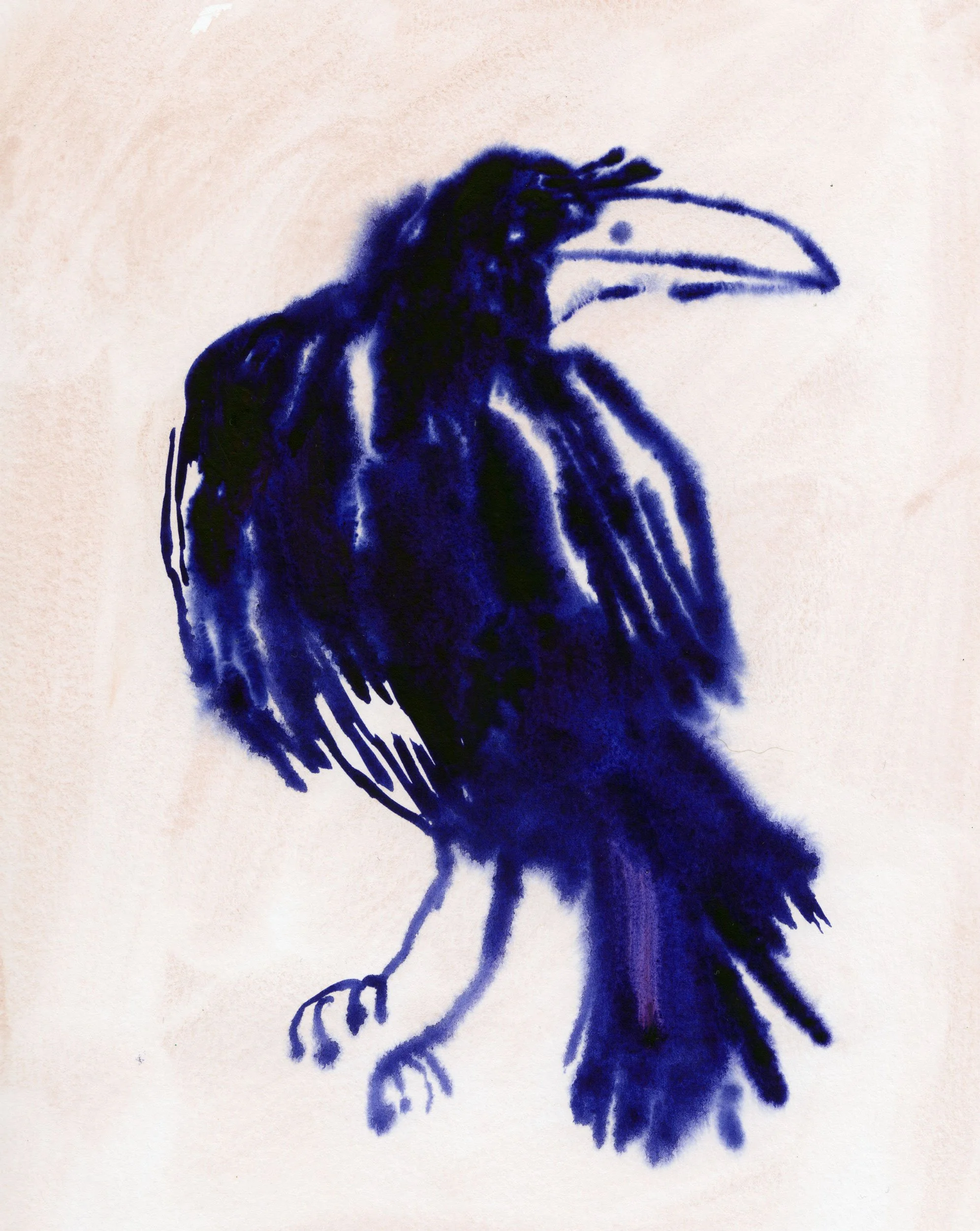 Folktale Week 2021: Dream//Raven