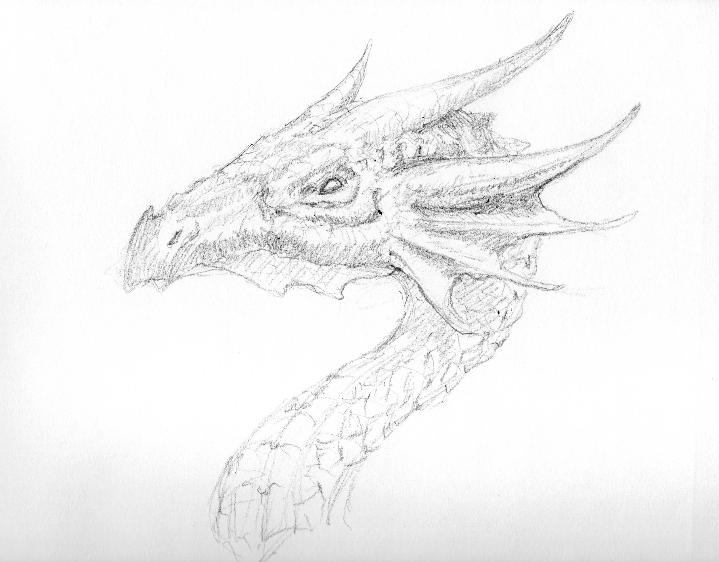 009 dragonary 009 sketch final.jpeg