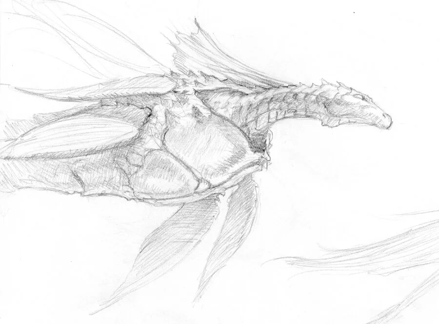 dragon sketch 049 web.jpg