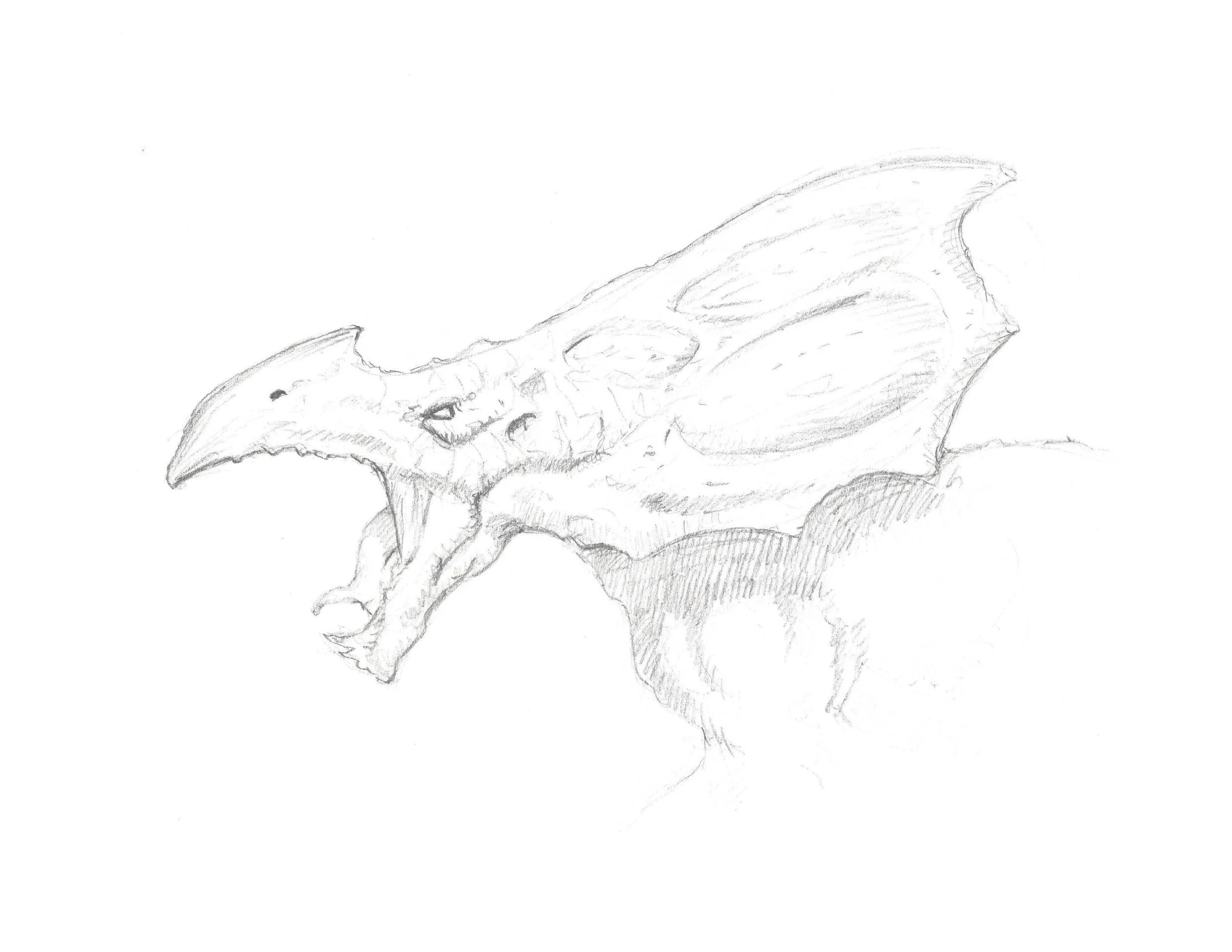 037 Dragon - 15 - Copper Armored Drake Dragon.jpg