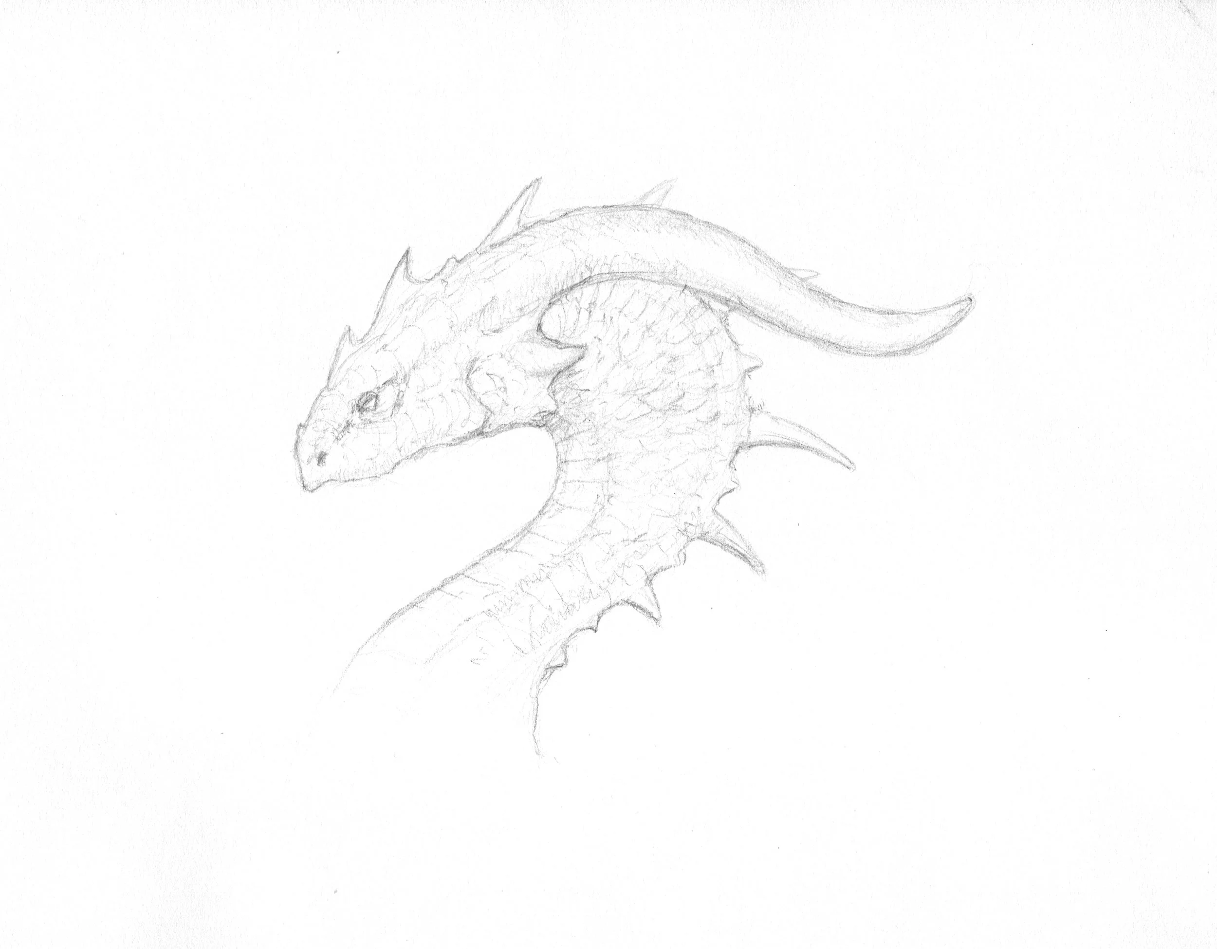 058 Dragon Draw 5 copy.jpeg