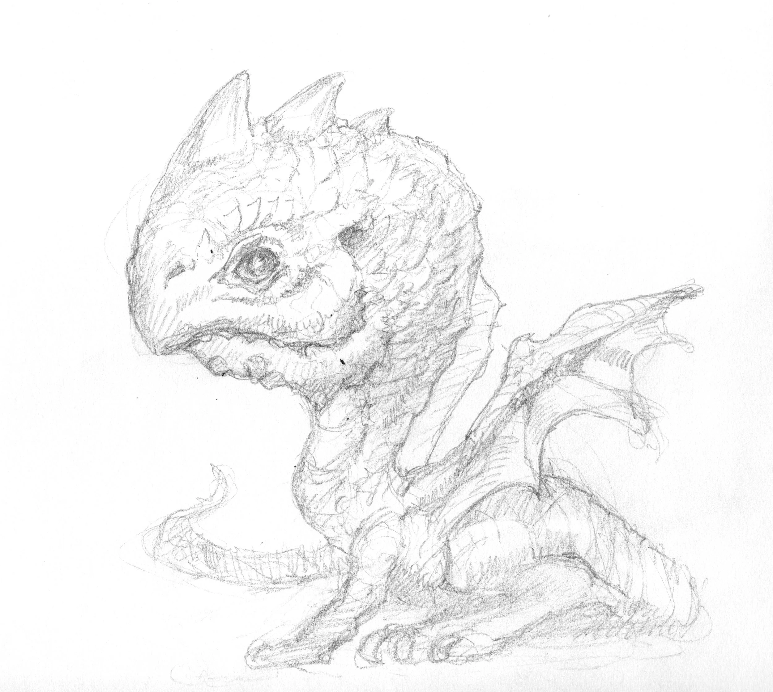 002 dragonary 002 sketch final.jpeg