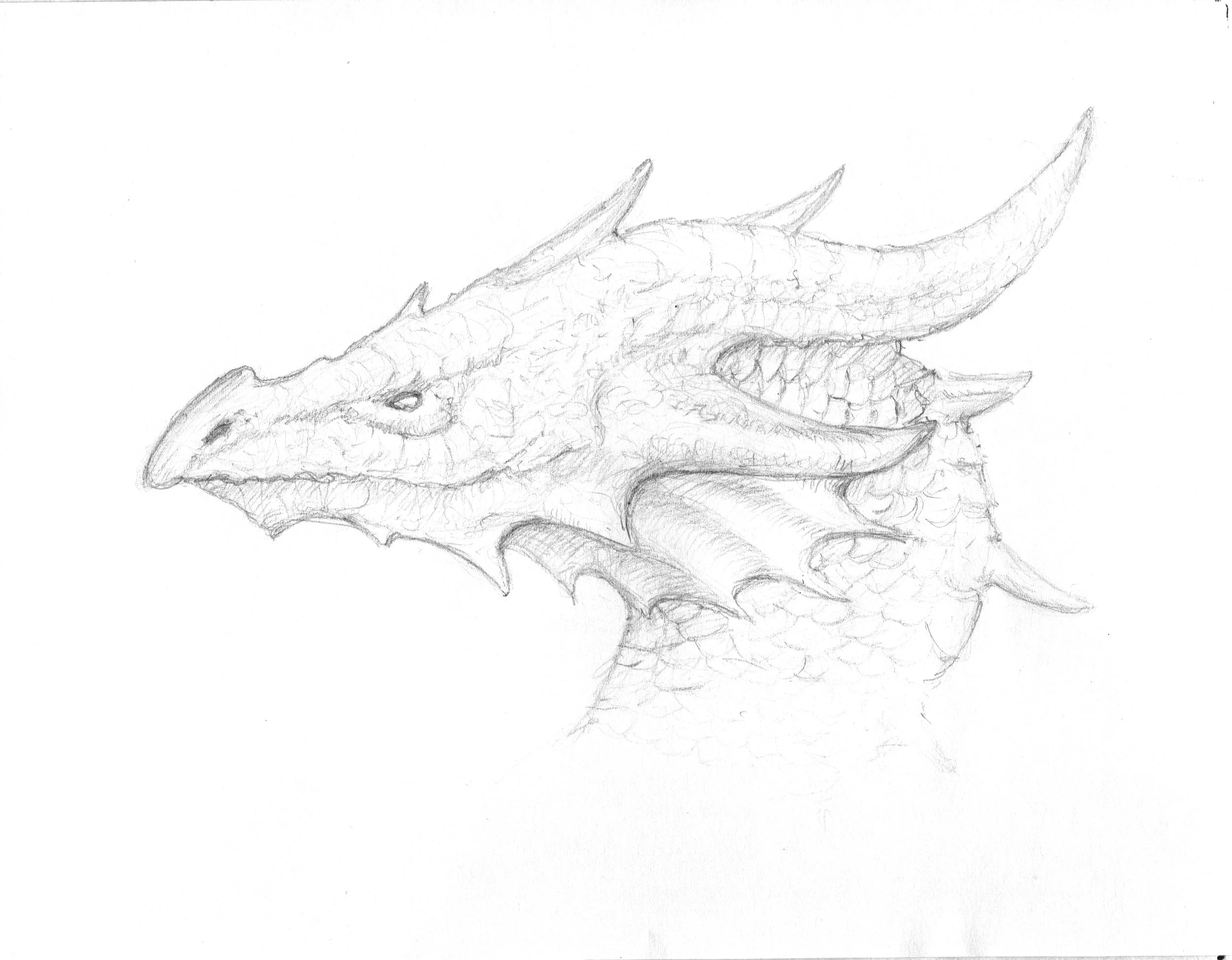055 Dragon Draw 2 copy.jpeg