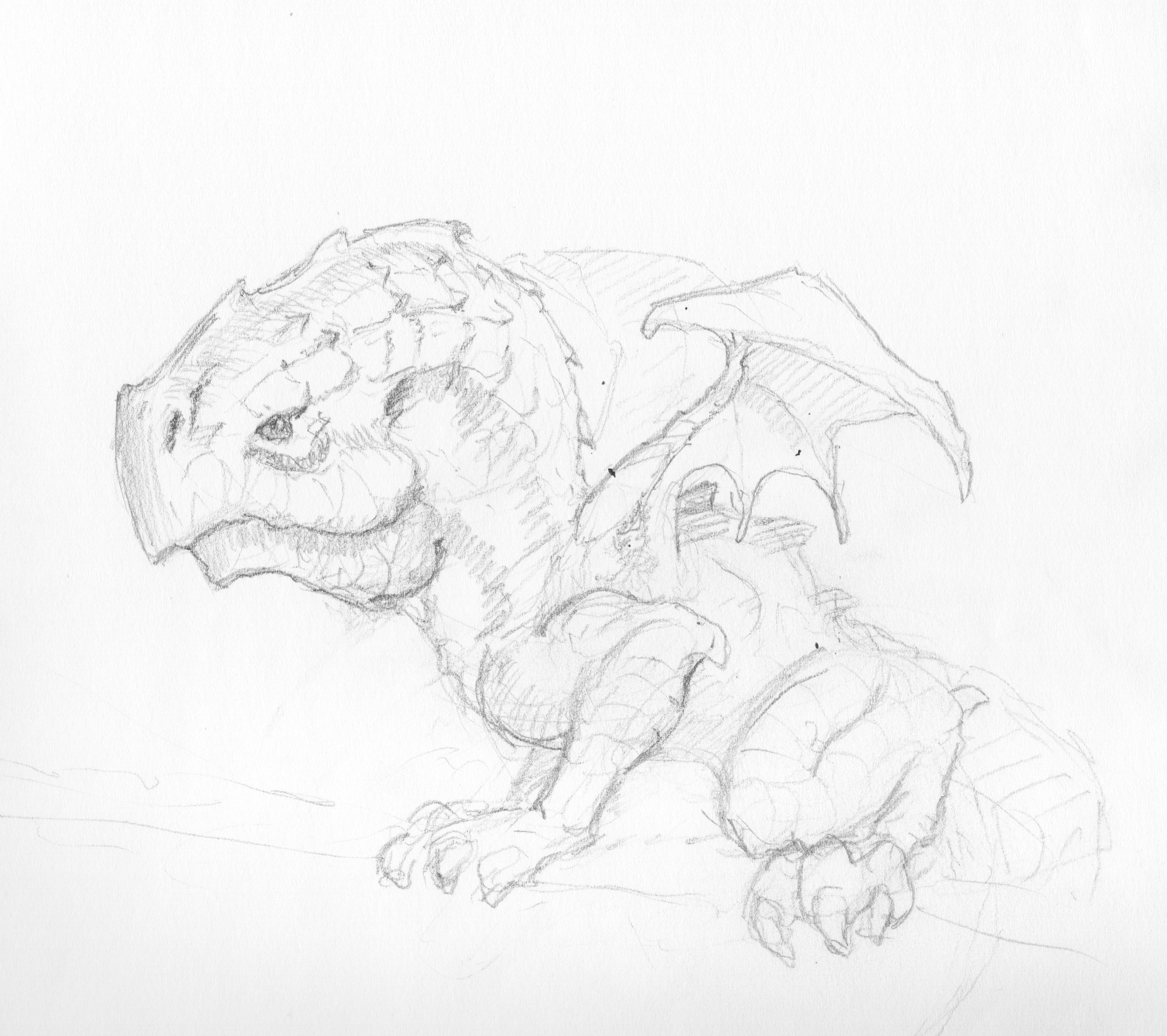 004 dragonary 004 sketch final.jpeg