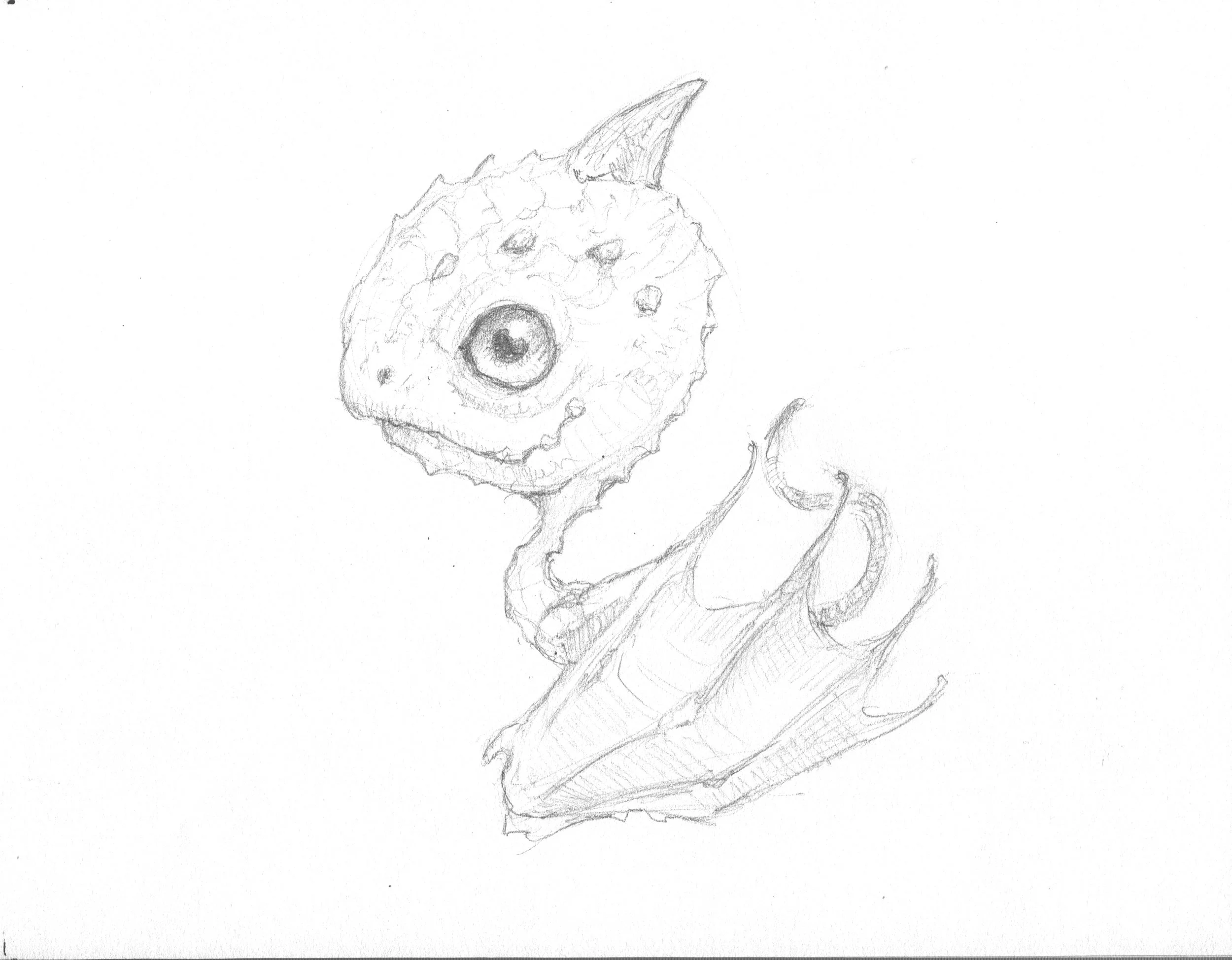 056 Dragon Draw 3 copy.jpeg