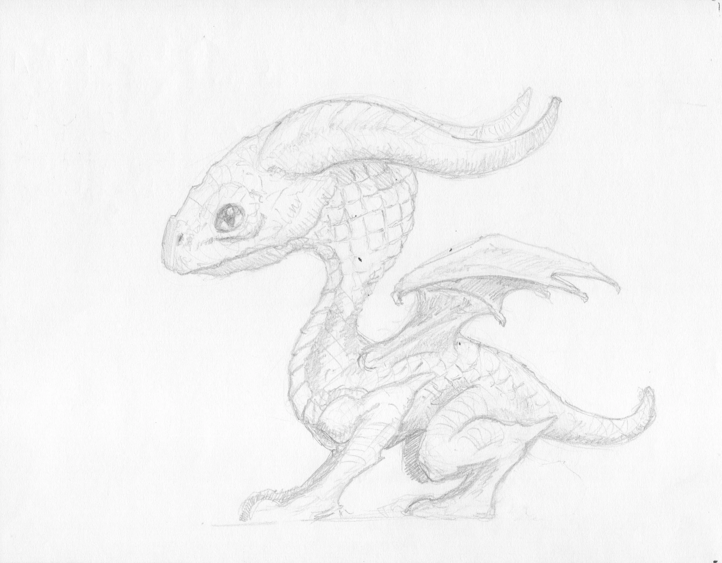 054 Dragon Draw 1 copy.jpeg