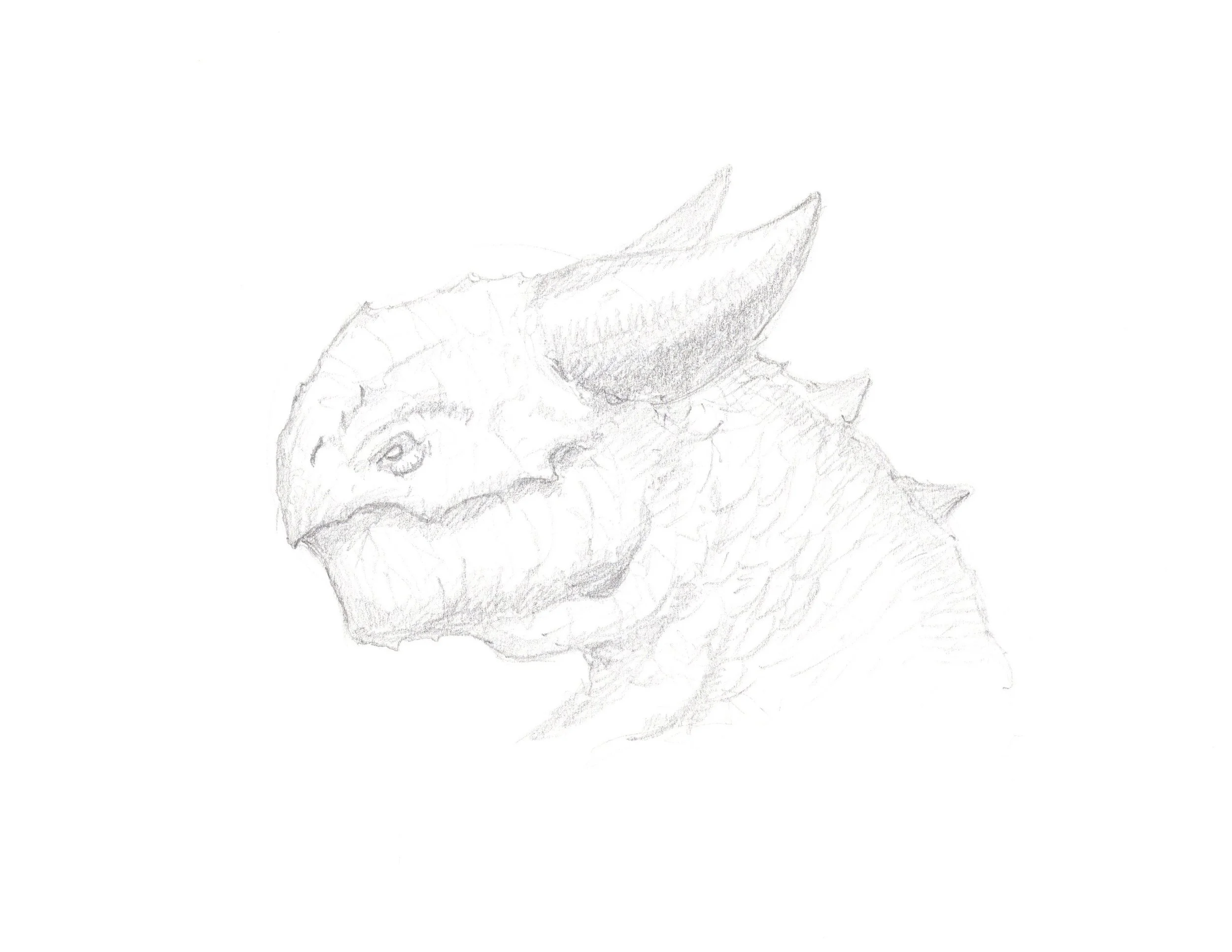 032 Dragon - 10 - Potbelly Drake Dragon.jpg