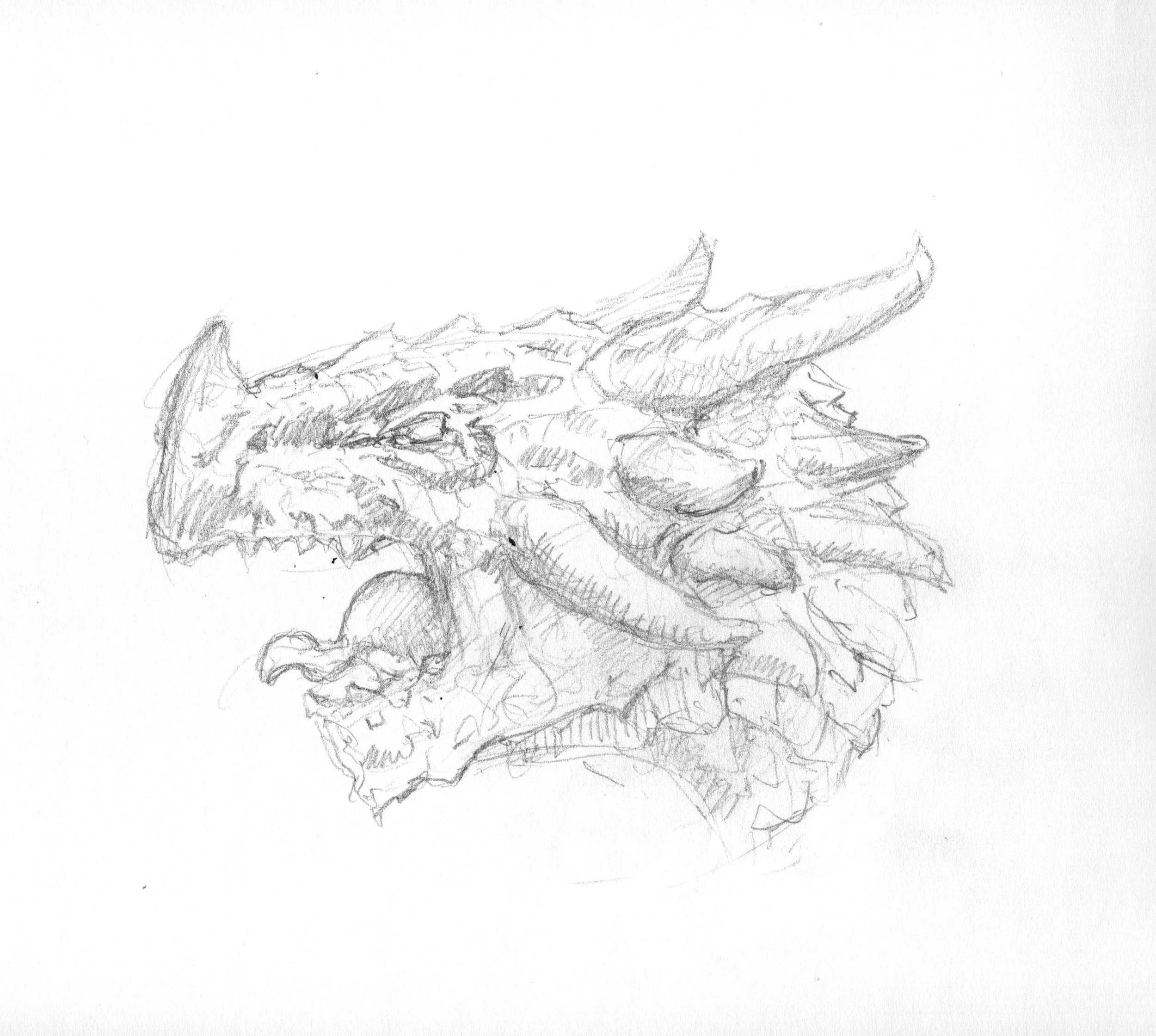 dragonary 001 sketch final.jpeg