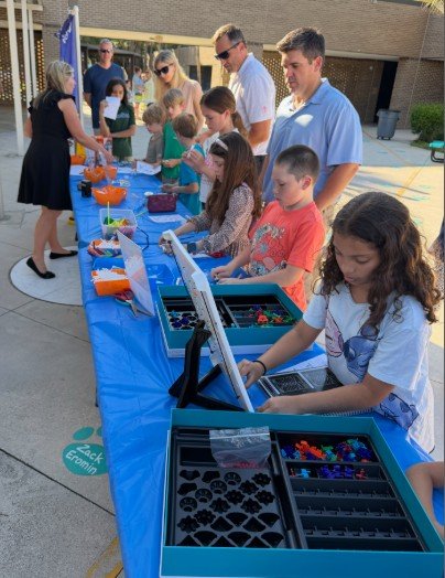 Stem night2.jpg