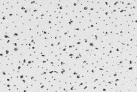 radar-climaplus-200x135 (1).jpg