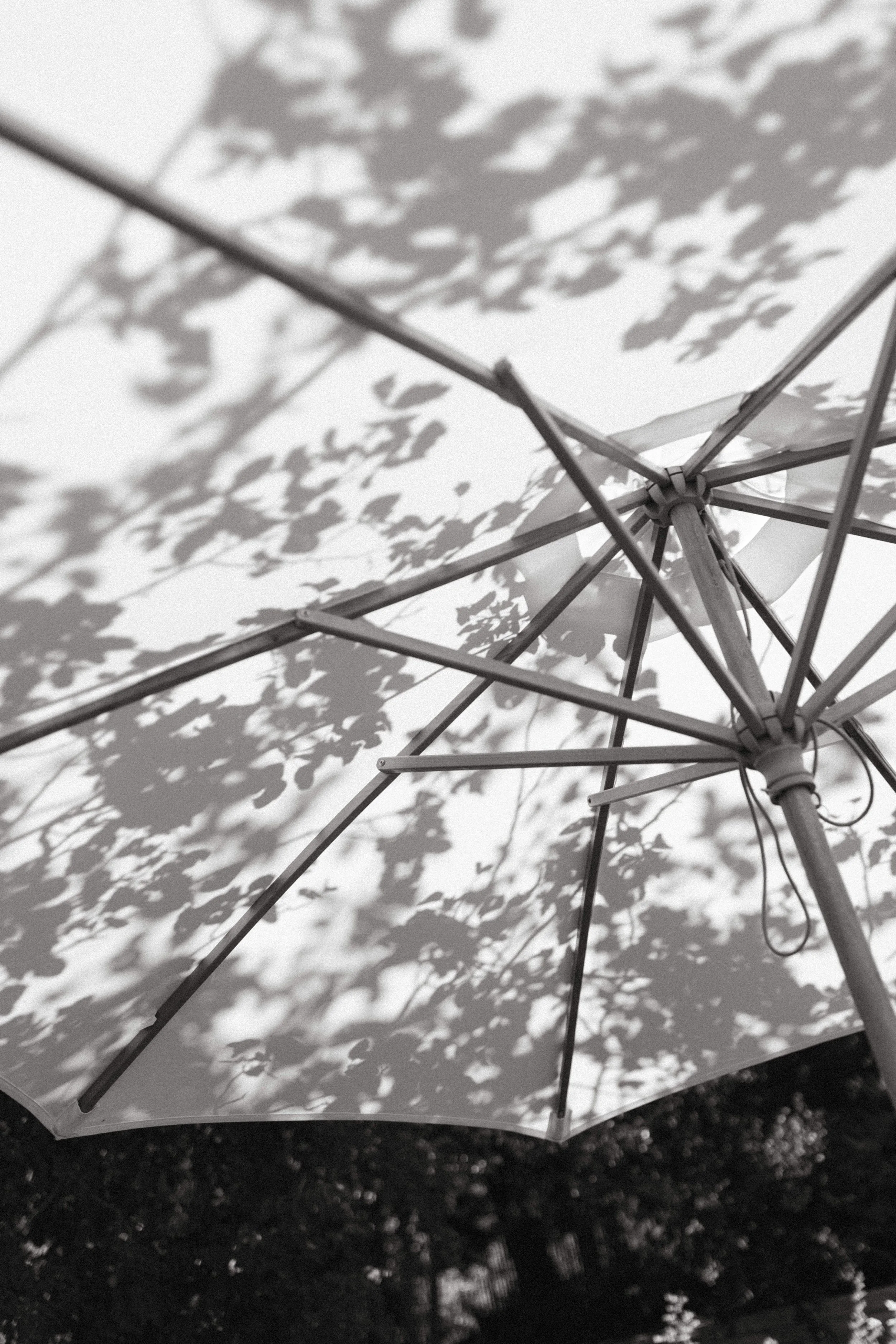 Breana & Sia _ Wedding 130884.jpg