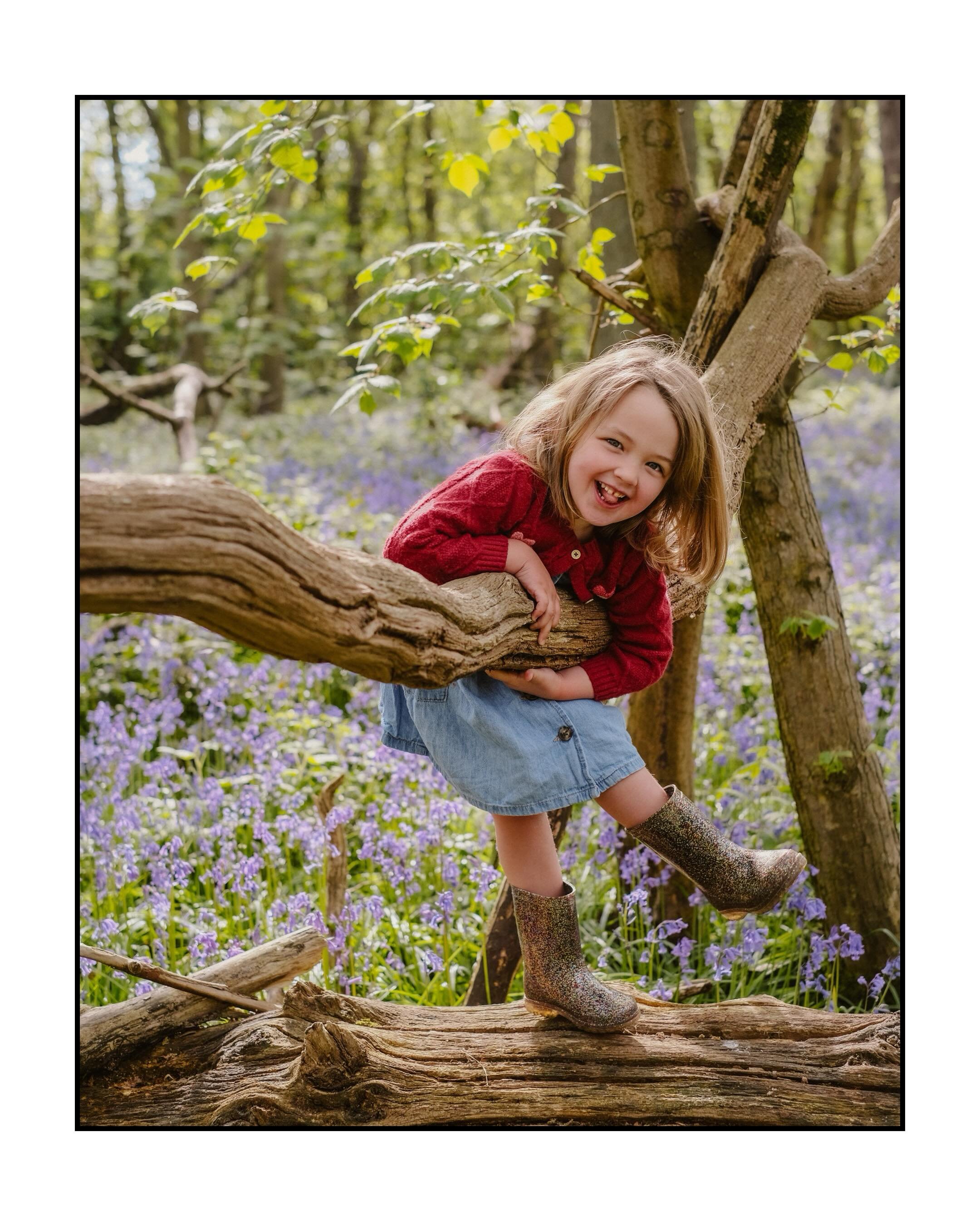 Lost in the bluebells, chasing little adventures and soaking up the magic of nature. 🌿💜 Such a beautiful time of year to capture carefree moments, tiny giggles, and the pure joy of being free amongst the flowers&hellip; 
@carrierbag24 
.
.
.
.
#Blu