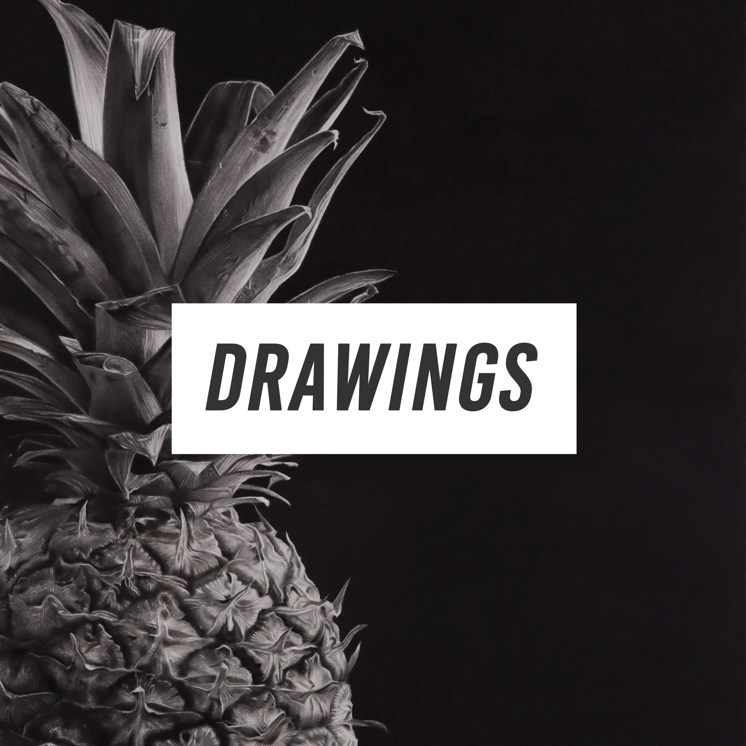 96AF837C-7473-416A-BAC3-763070EEC8FB copy.jpg