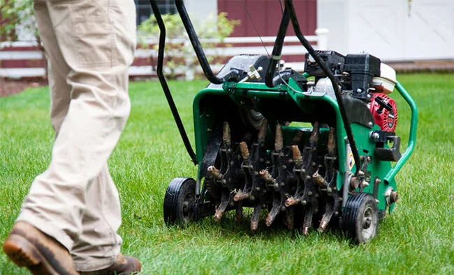 Why Aerate Your Lawn?