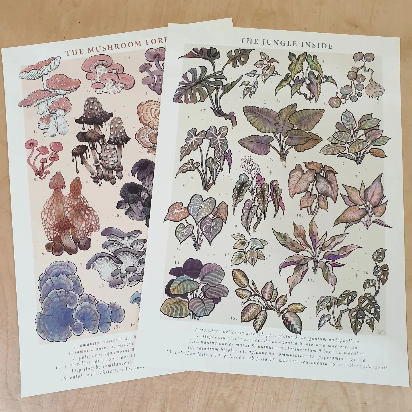 🌱𝒃𝒐𝒕𝒂𝒏𝒊𝒄𝒂𝒍 𝒔𝒕𝒖𝒅𝒊𝒆𝒔 🌱 2022

By far the most relaxing project 
I love to draw plants and animals and this one really helped me to get back in constant creating 
All of them were drawn with the trustworthy Koh-I-Noor Bismuth magic penc