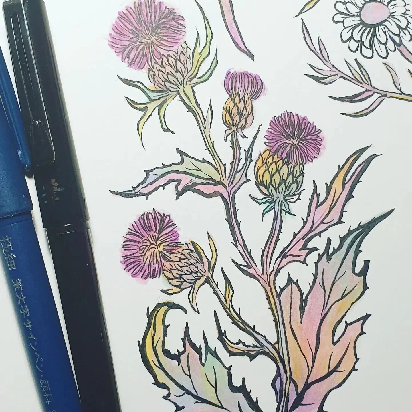 🌱thistle🌱 Workprogress

#botaniclaillustration #botanical #traditionalart #workprogress #ink #mixedmediaart #illustration #thistle