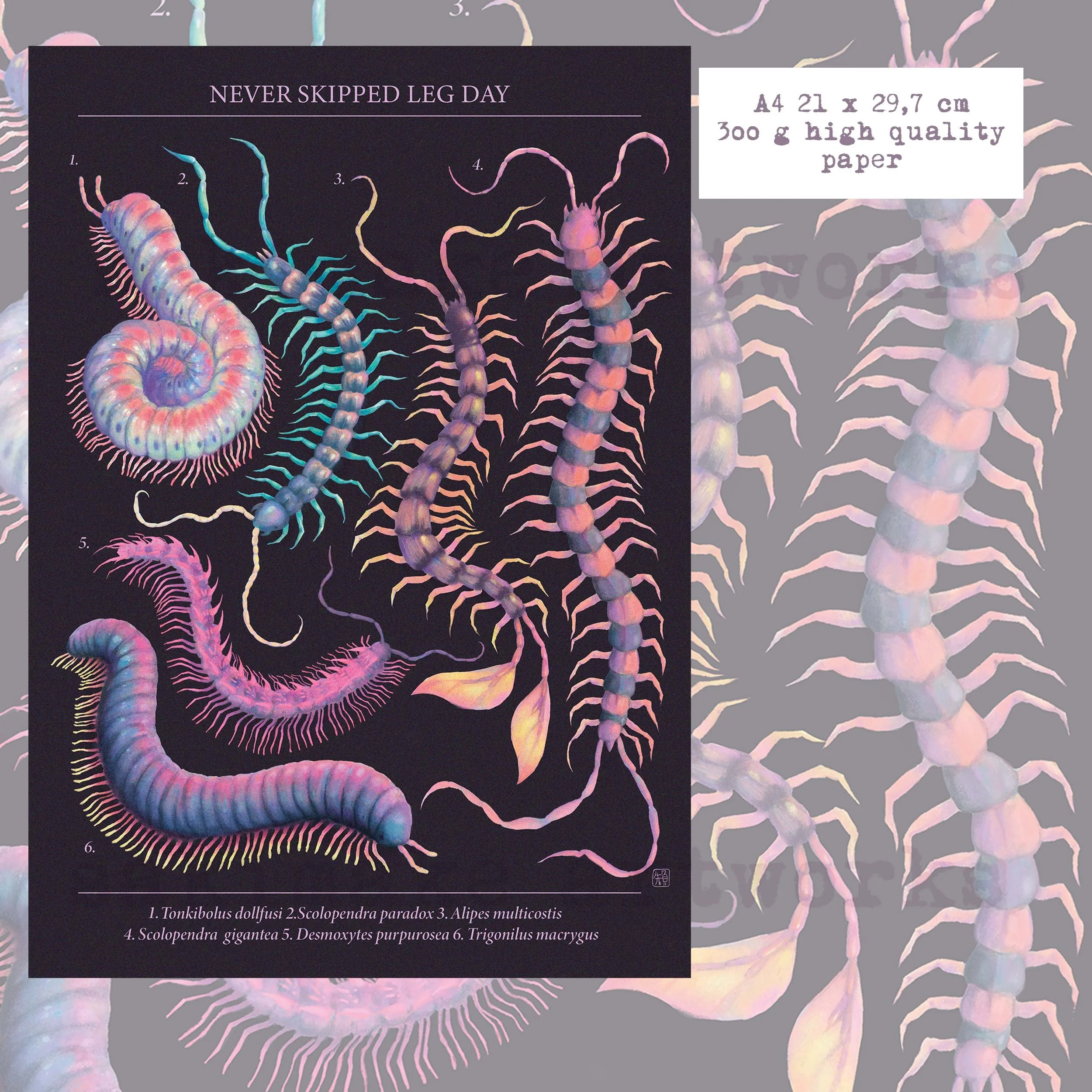 Never skipped Legday - Print